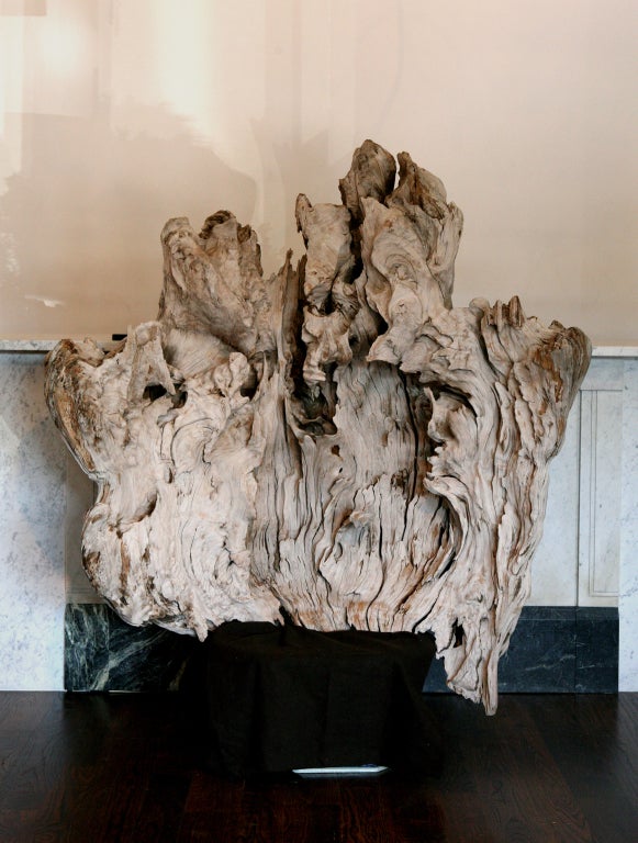 At the time of harvesting, the southern cyrpress tree would have been approximately 400-500 years old; This cypress knot was removed when the tree was harvested and was abandoned for approximately 200 years; Can be displayed on a metal base or