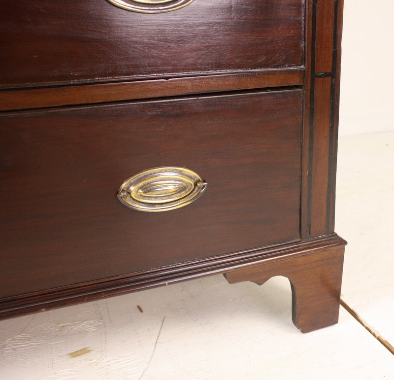 19th Century Antique English Mahogany Chest, Ebony Stringing, with Shell Inlay For Sale