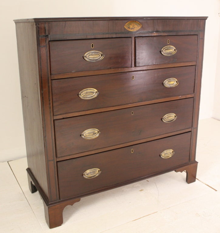 Antique English Mahogany Chest, Ebony Stringing, with Shell Inlay For Sale 1