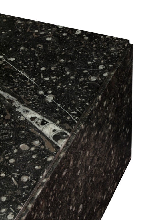 Pair of Black Fossilized Stone Coffee Tables