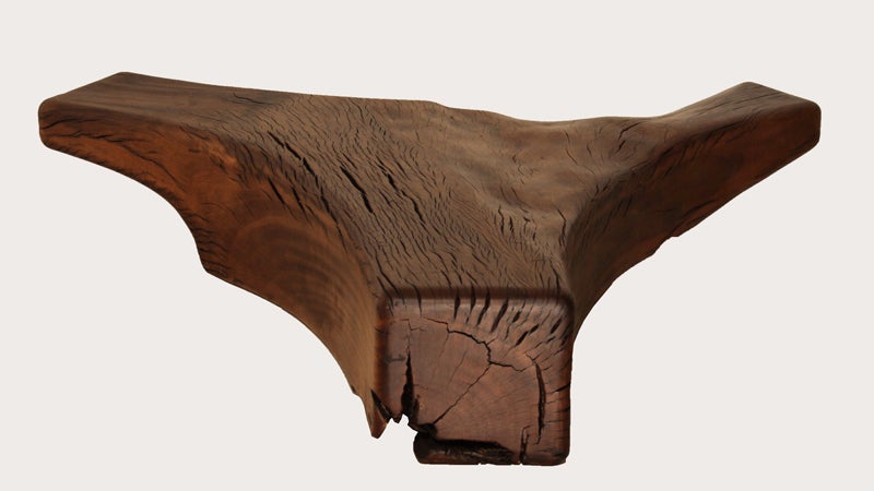 Brazilian Huge Pequi root coffee table by Zanini De Zanine
