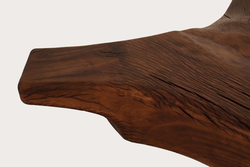 Contemporary Huge Pequi root coffee table by Zanini De Zanine