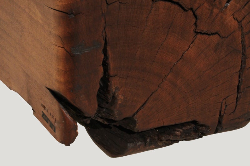 Huge Pequi root coffee table by Zanini De Zanine 2