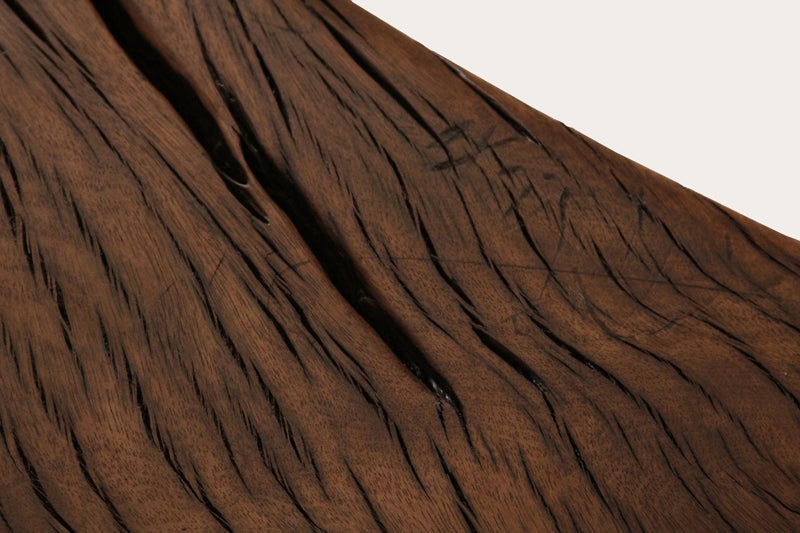 Huge Pequi root coffee table by Zanini De Zanine 4