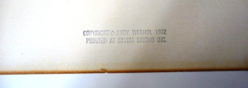 20th Century Andy Warhol 