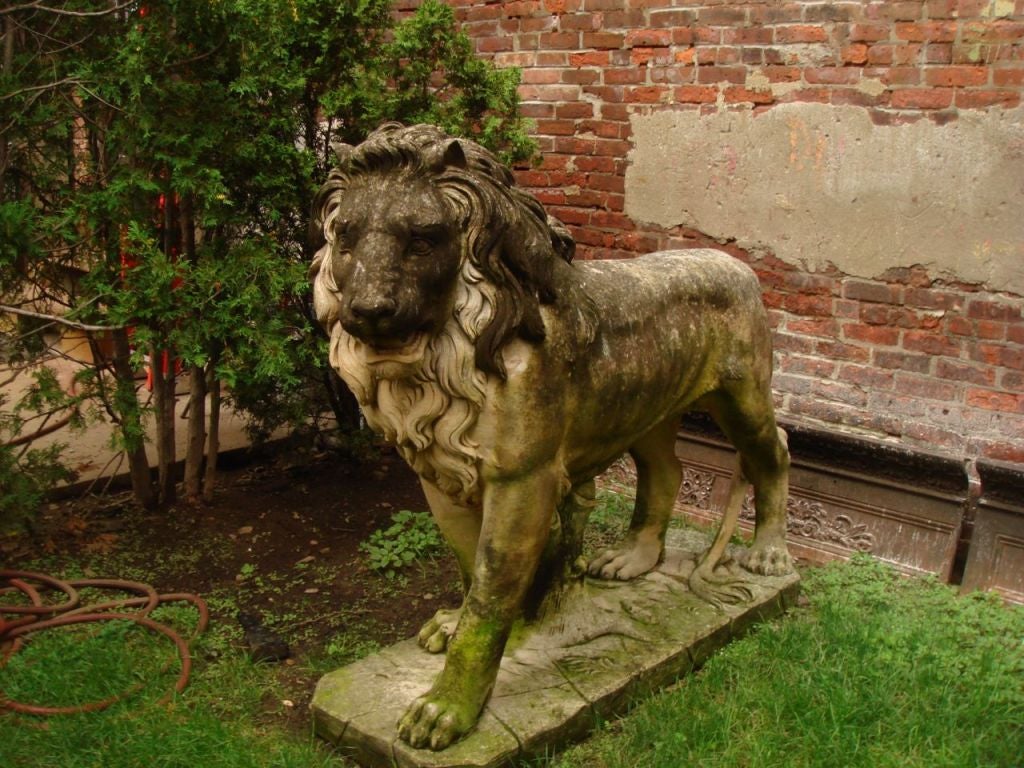 Italian, hand carved, standing lions. This pair of massive lions carved in Giallo Dorato limestone have beautifully carved faces and form, graceful and strong in stature. Great details in the mane and paws with a nicely aged patina. 
Height 59