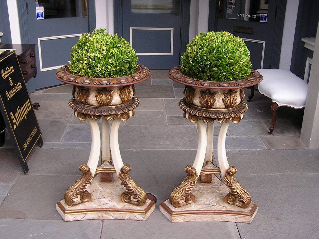 Pair of Italian carved wood hand painted and gilt garden planters with decorated egg dart borders, acanthus leaf motif,  and terminating on scrolled legs with acanthus feet and triangular base. Last Quarter 19th Century.