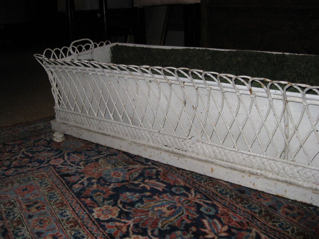 Antique French Iron and Wire Work Planter Box