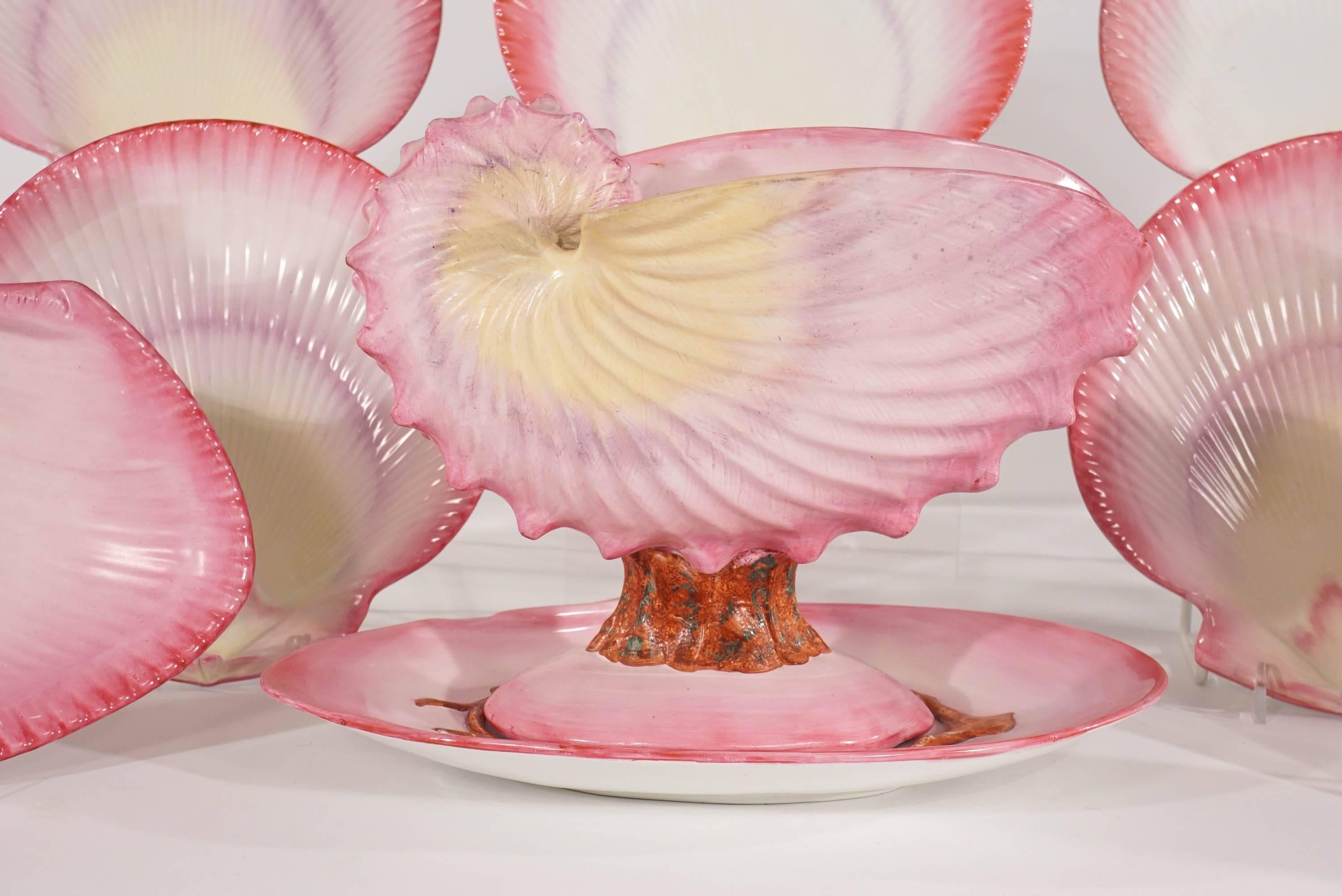 nautilus pink