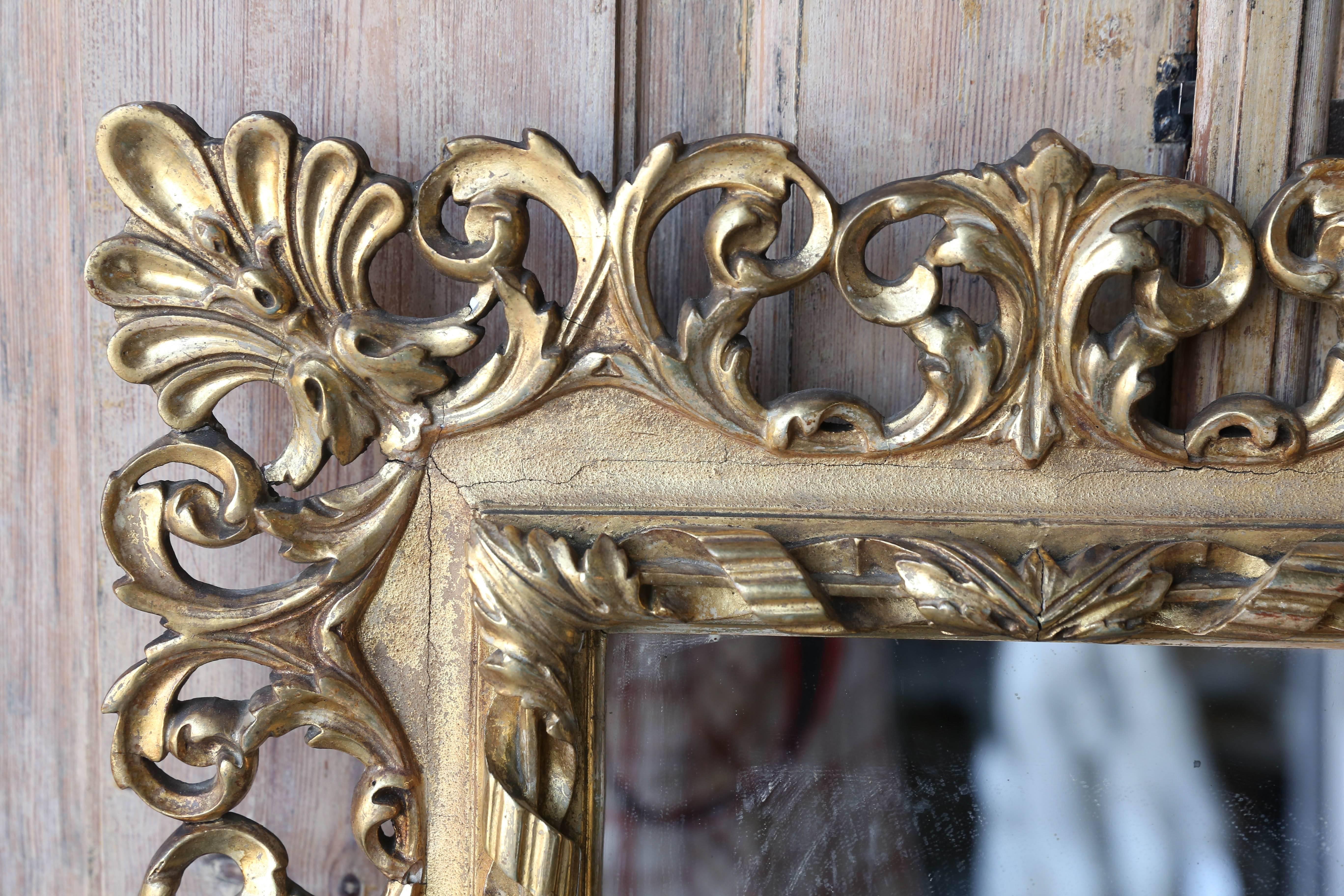 This beautifully carved Italian gold gilt small collectors mirror has such wonderful curves and personality.