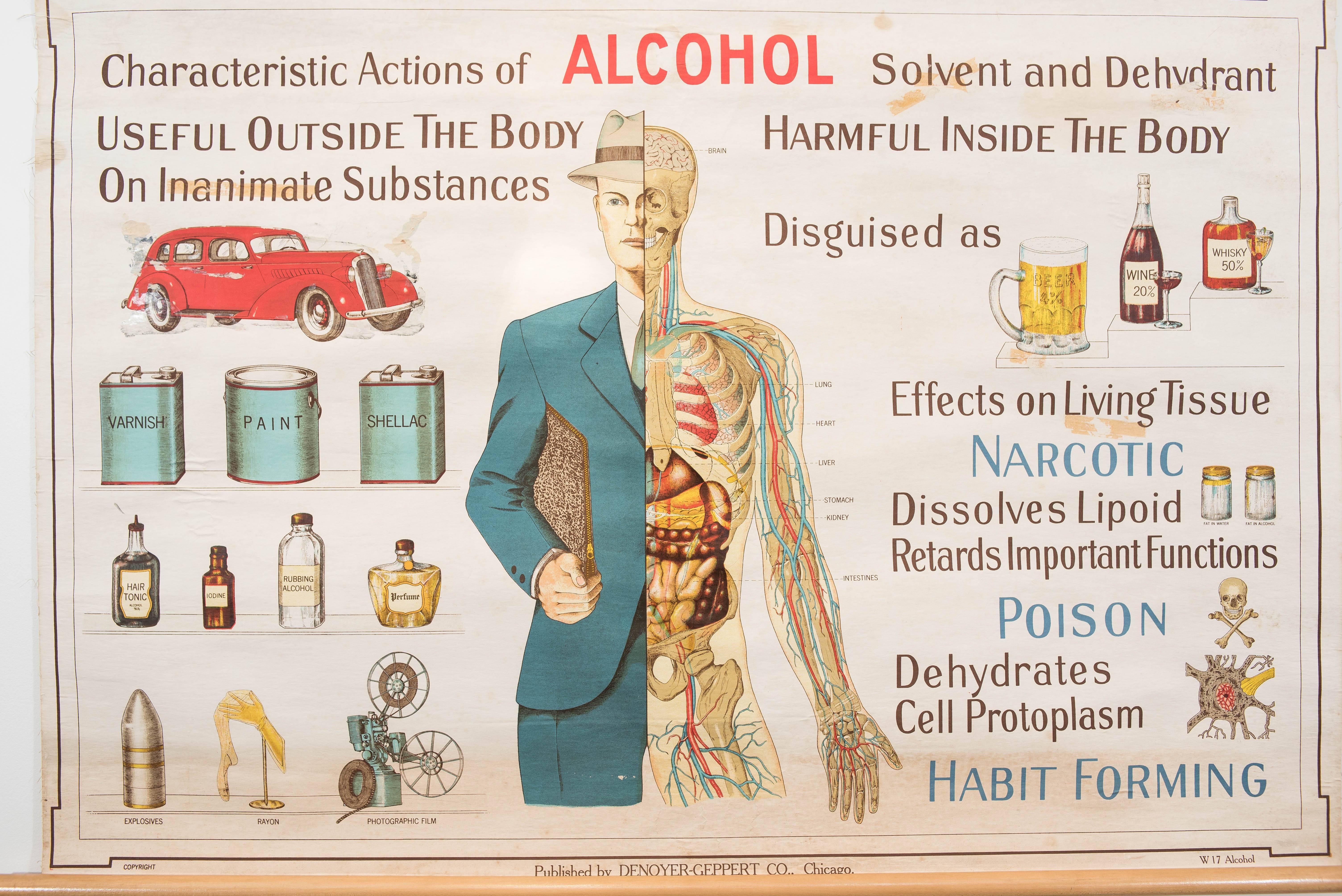 effects of alcohol poster