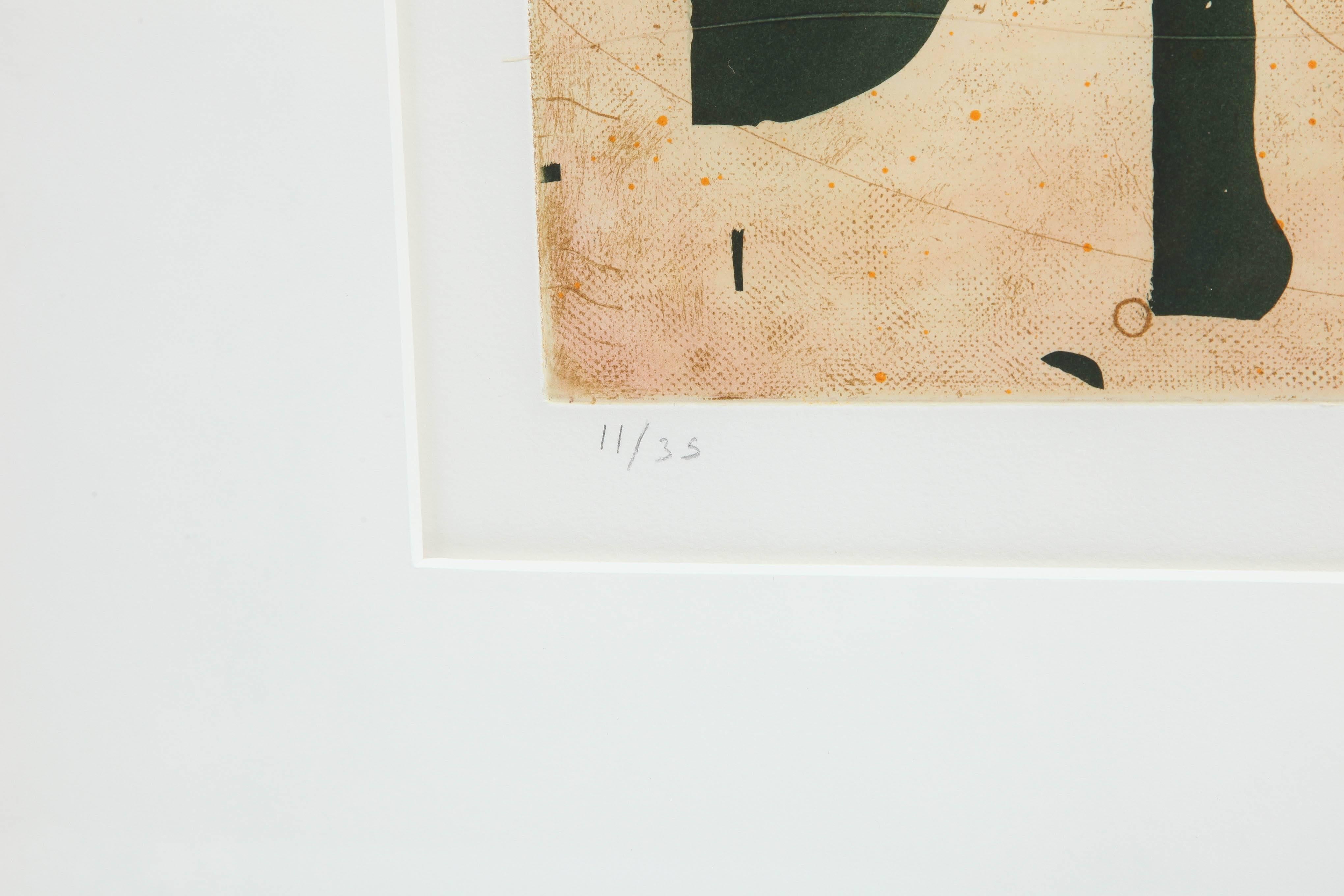 Abstract Pair of Caio Fonseca Aquatint Etchings, 2001 4