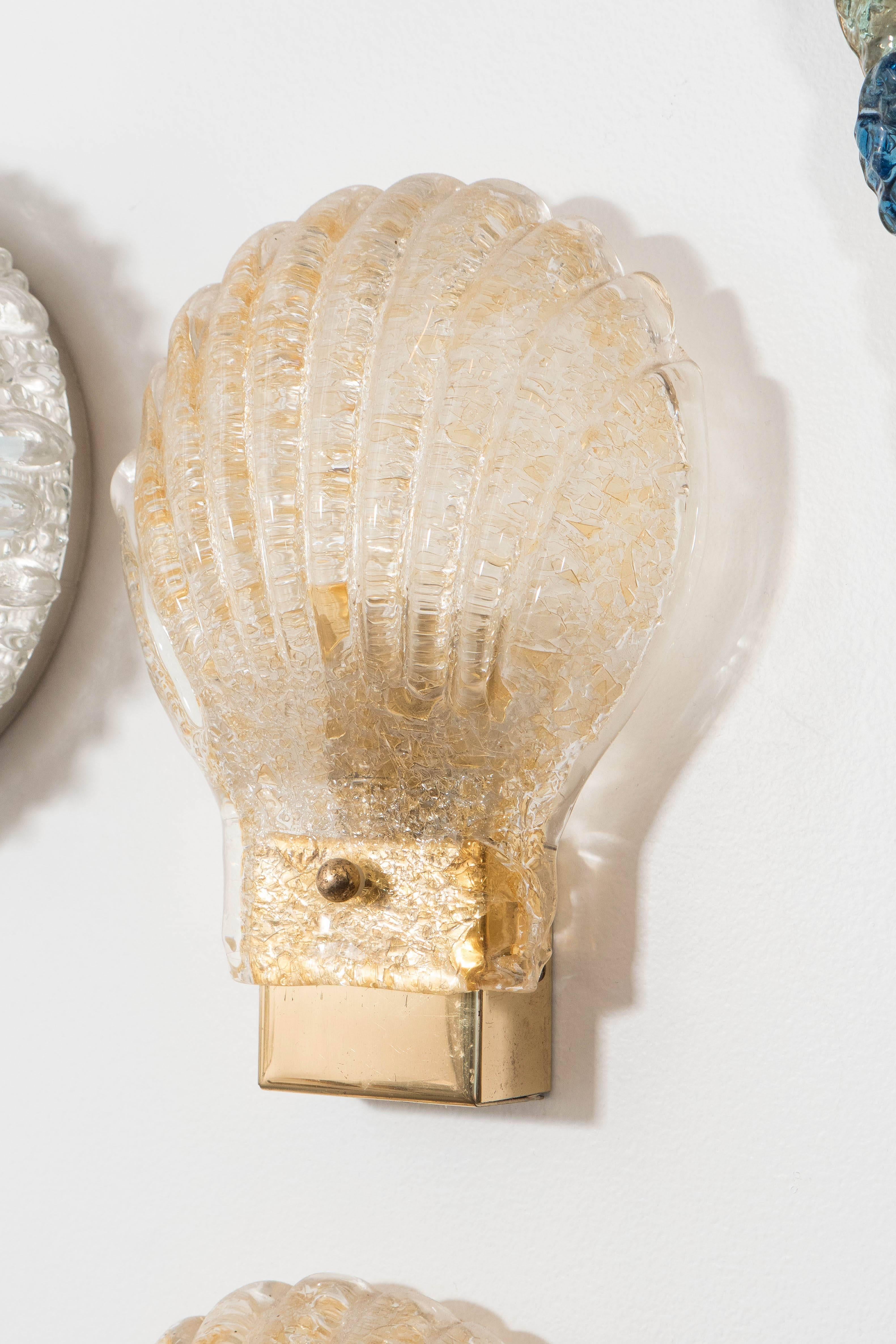 Mid-20th Century Pair of 1960s Italian Sea Shell Sconces