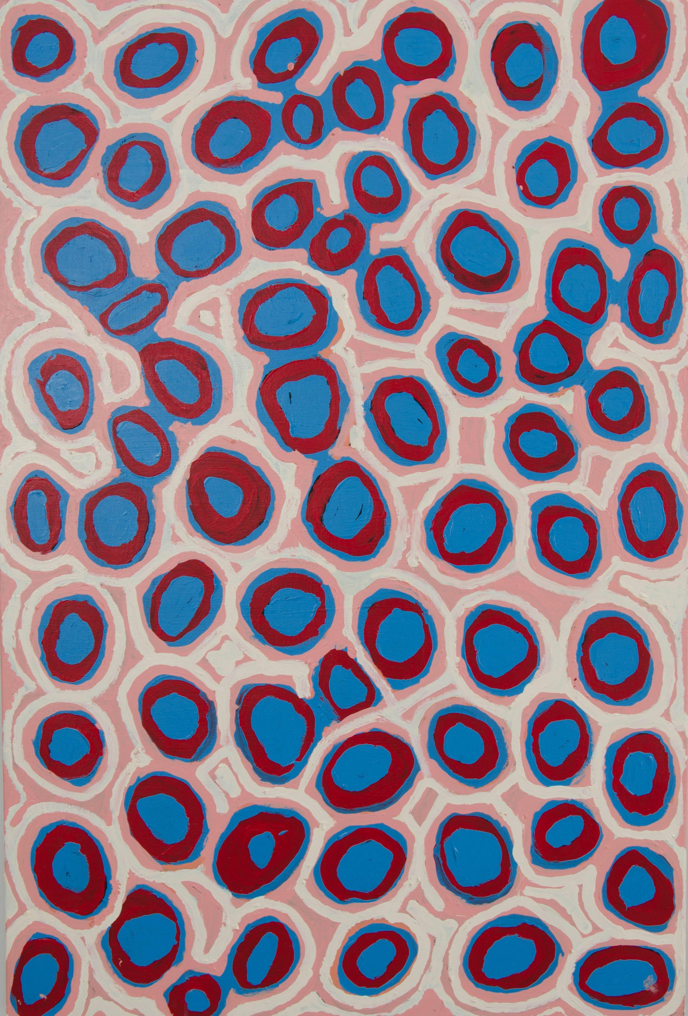 'Takupalangu' by Alice Nampitjinpa

This wonderful acrylic painting, with lively, circular designs in red against a pink and blue background, was made in 2014 by Australian Aboriginal artist Alice Nampitjinpa.

The painting shows an abstract