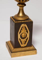 Pair of French/Russian Empire Gilt and Patinated Bronze Cassolettes