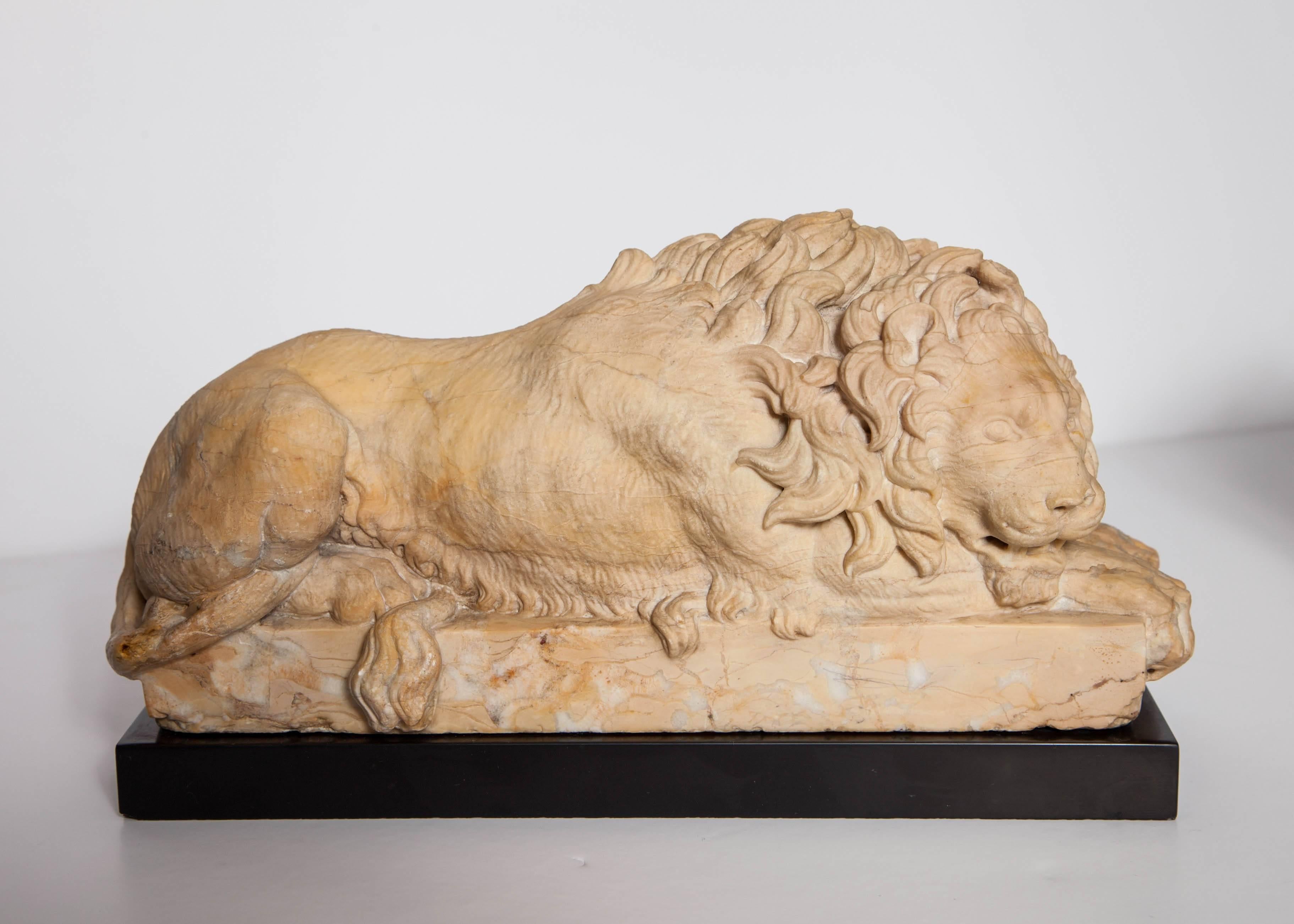 An exceptional and very fine pair of antique Grand Tour period Giallo Antico marble figures of the recumbent lions after Antonio Canova. Each mounted on a black Belgium marble plinth.
Rome, circa 1820.
Measures: L 10.5