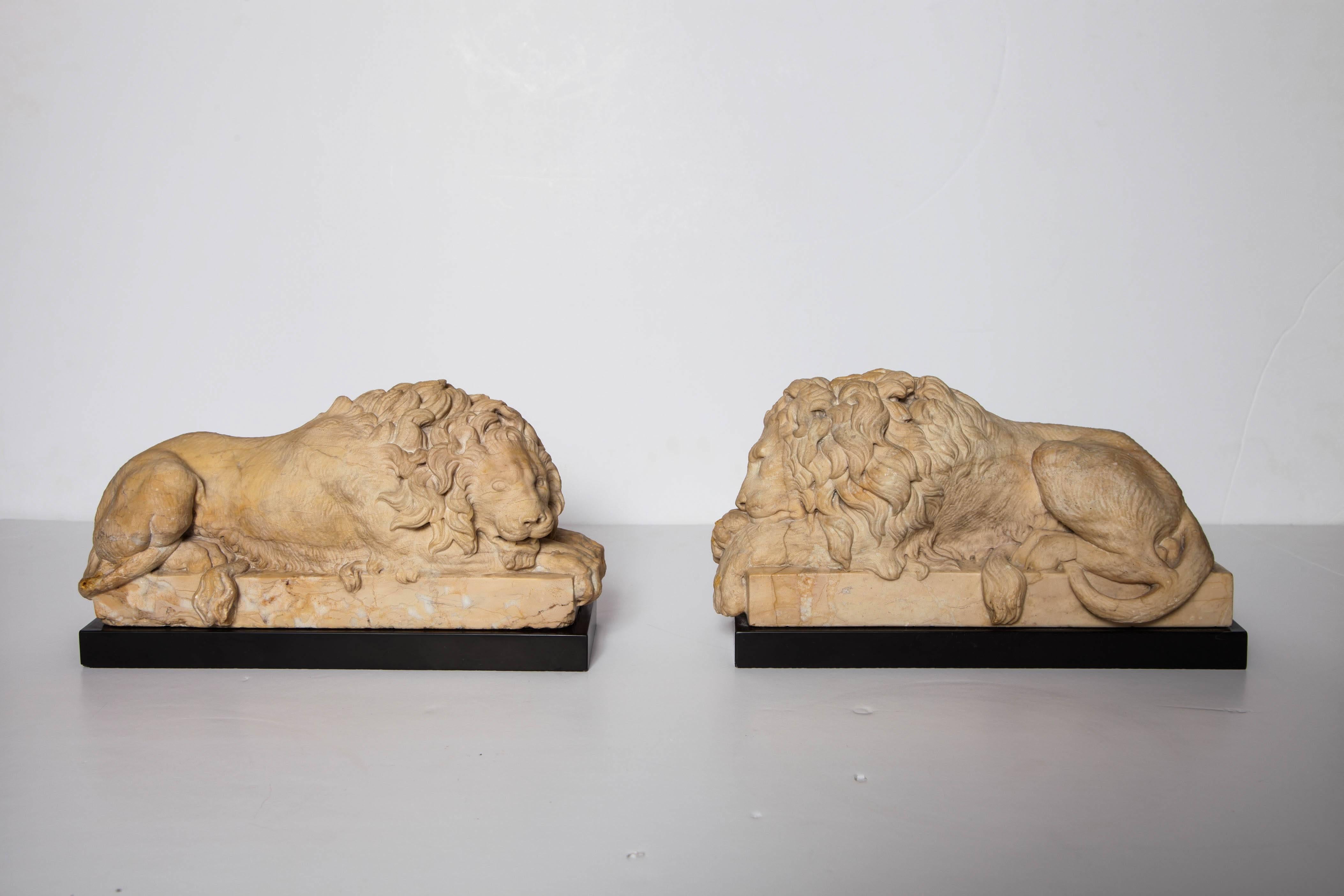 Neoclassical Pair of Grand Tour Period, Roman Sienna Marble Recumbent Lions after Canova