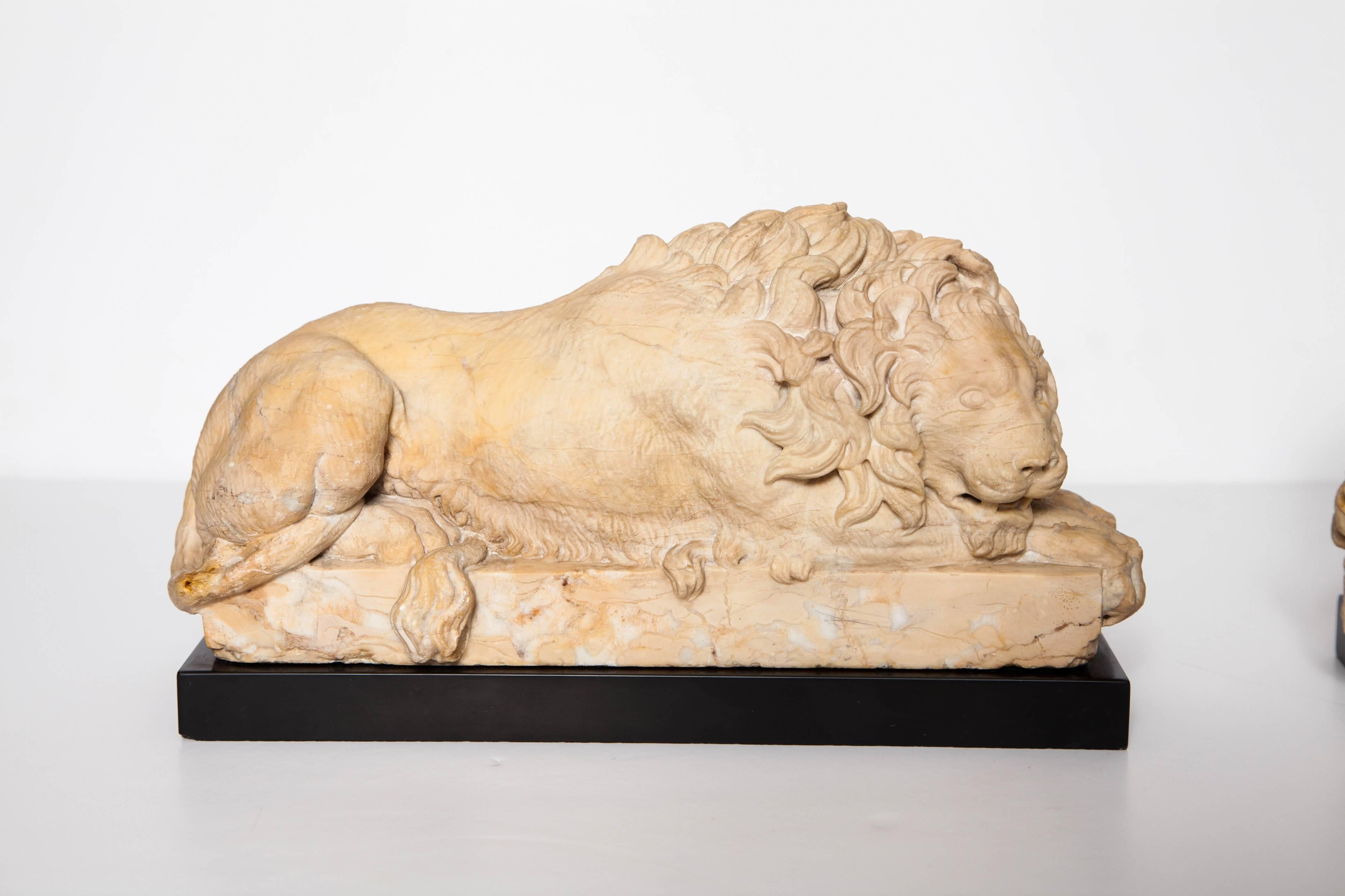 Italian Pair of Grand Tour Period, Roman Sienna Marble Recumbent Lions after Canova