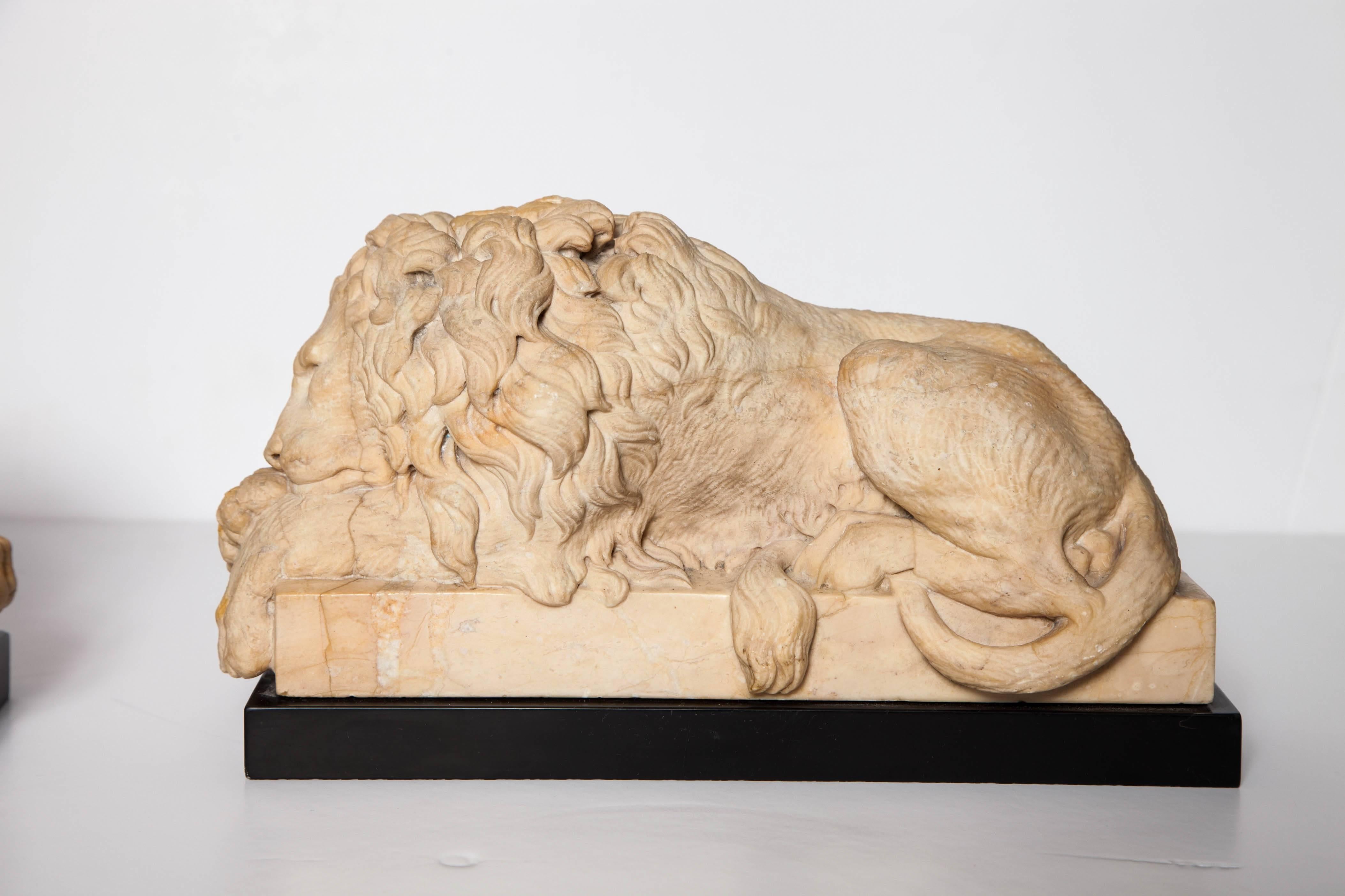 Pair of Grand Tour Period, Roman Sienna Marble Recumbent Lions after Canova In Excellent Condition In New York, NY