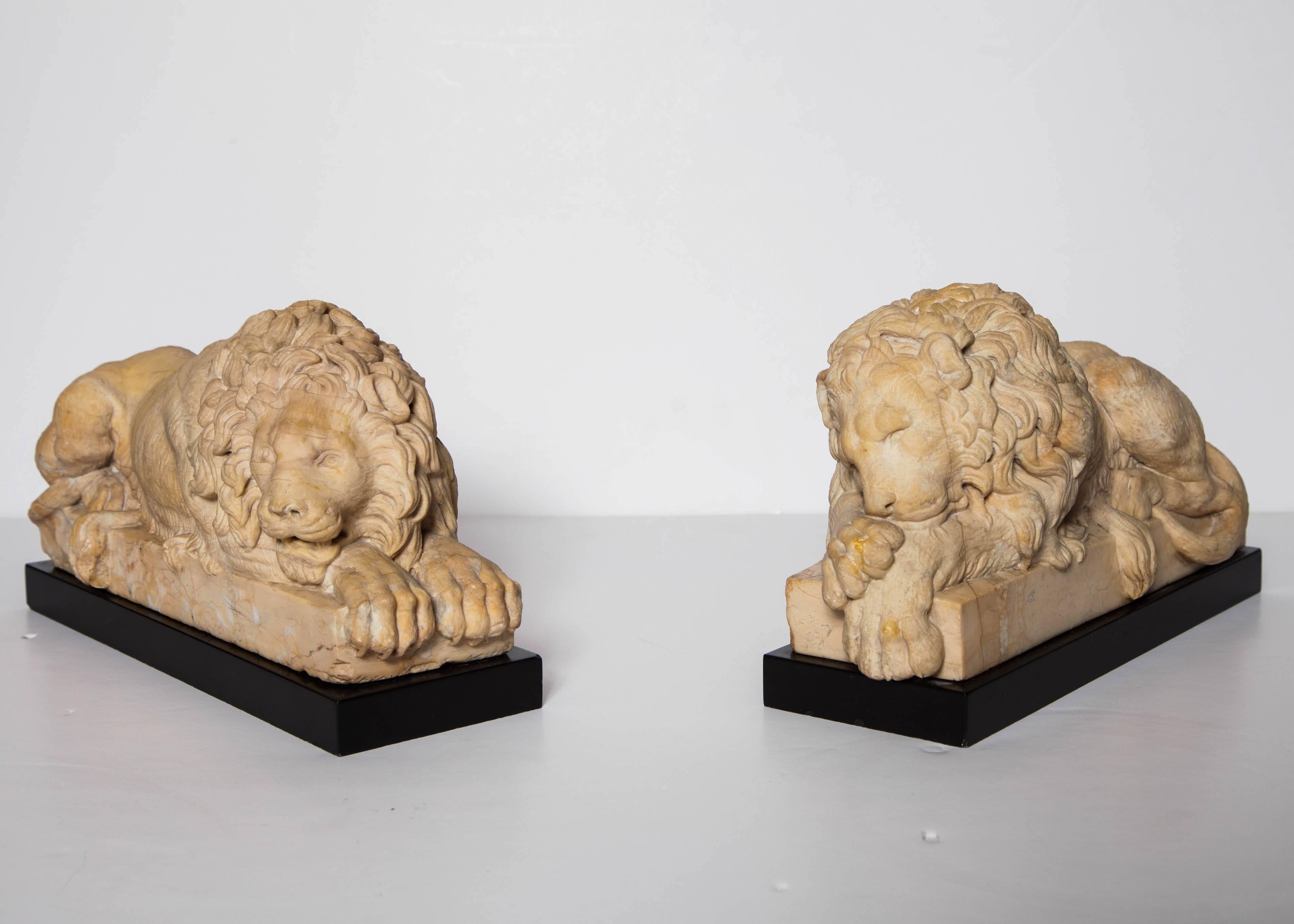 Pair of Grand Tour Period, Roman Sienna Marble Recumbent Lions after Canova 1