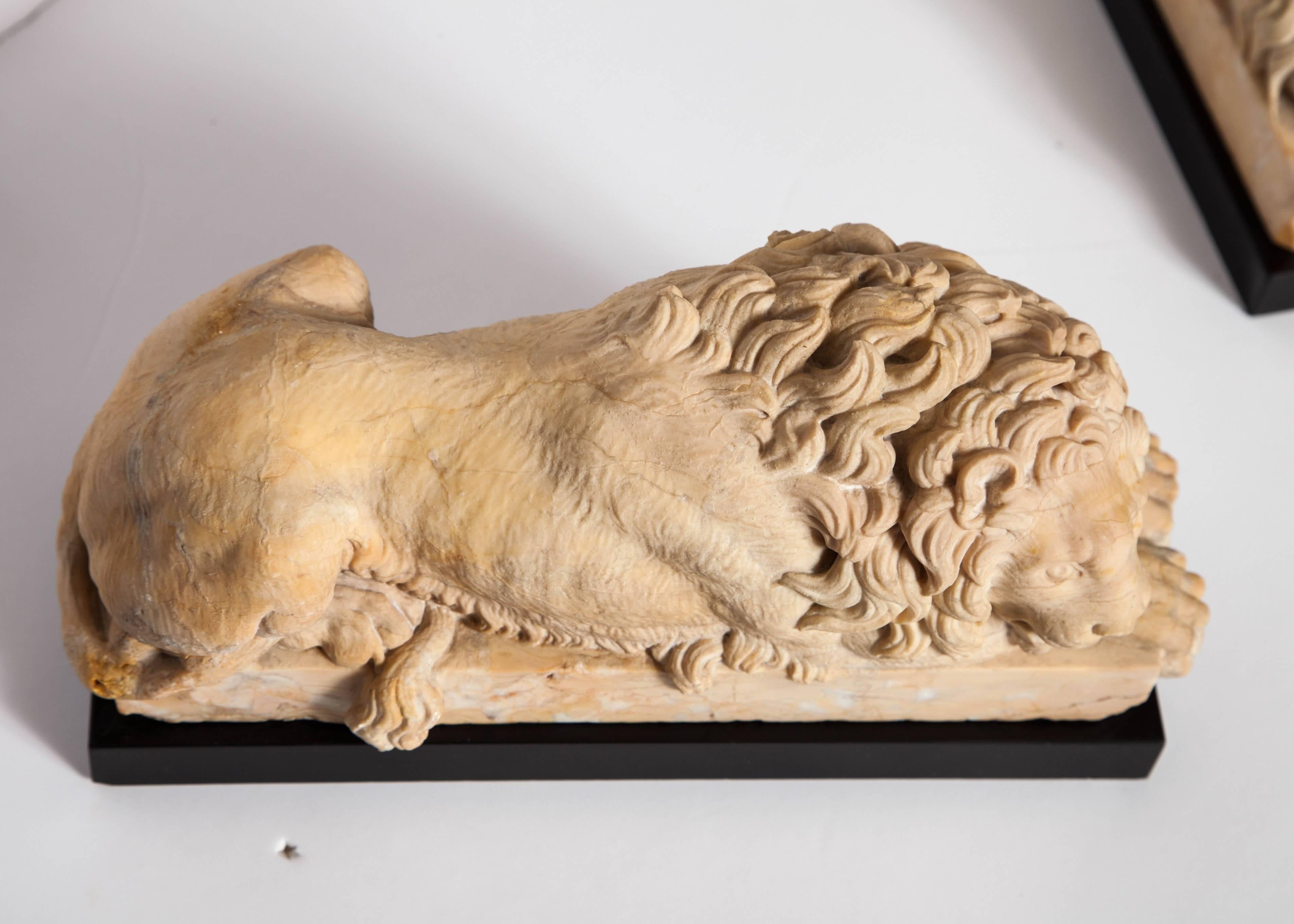 Pair of Grand Tour Period, Roman Sienna Marble Recumbent Lions after Canova 4