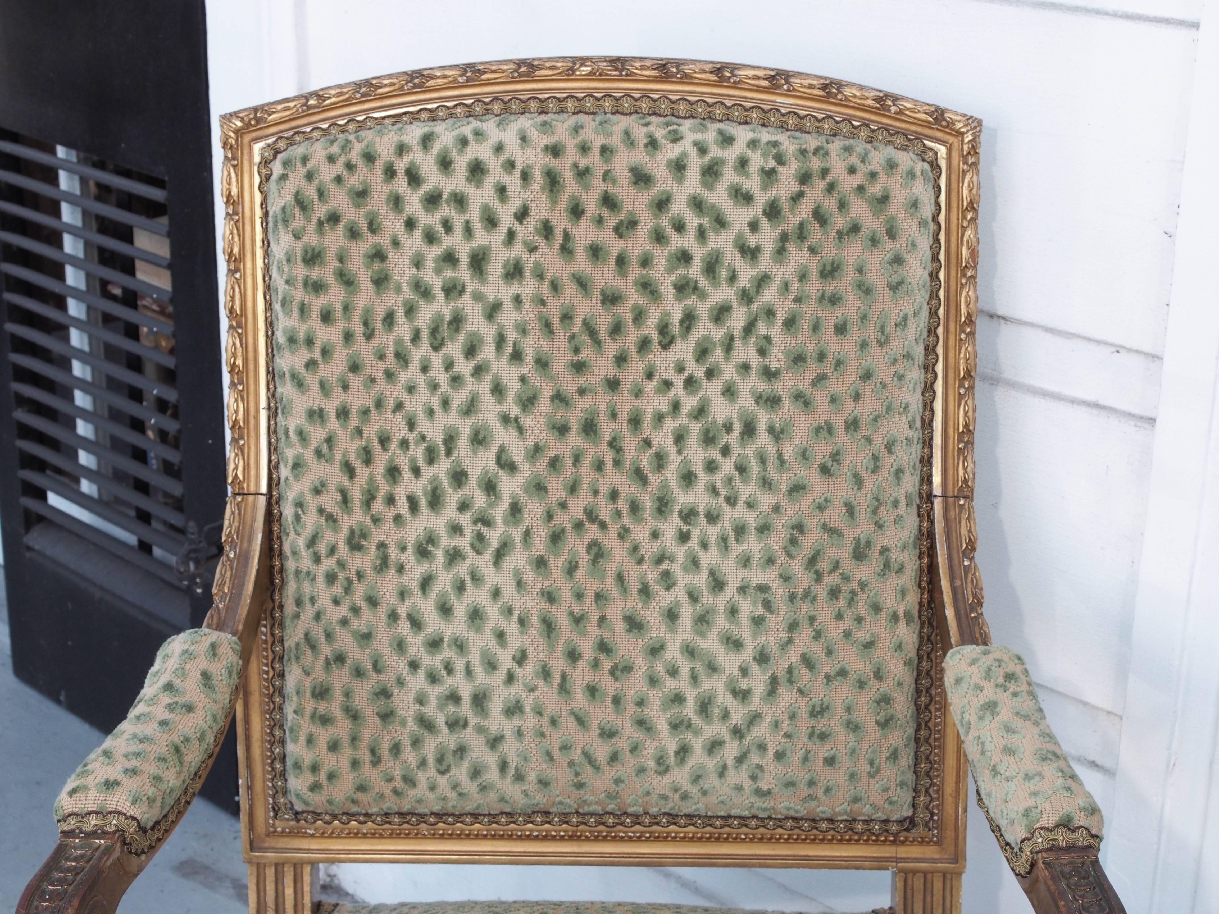 Pair of 19th century Louis XVI style gilt armchairs with ocelot upholstery.