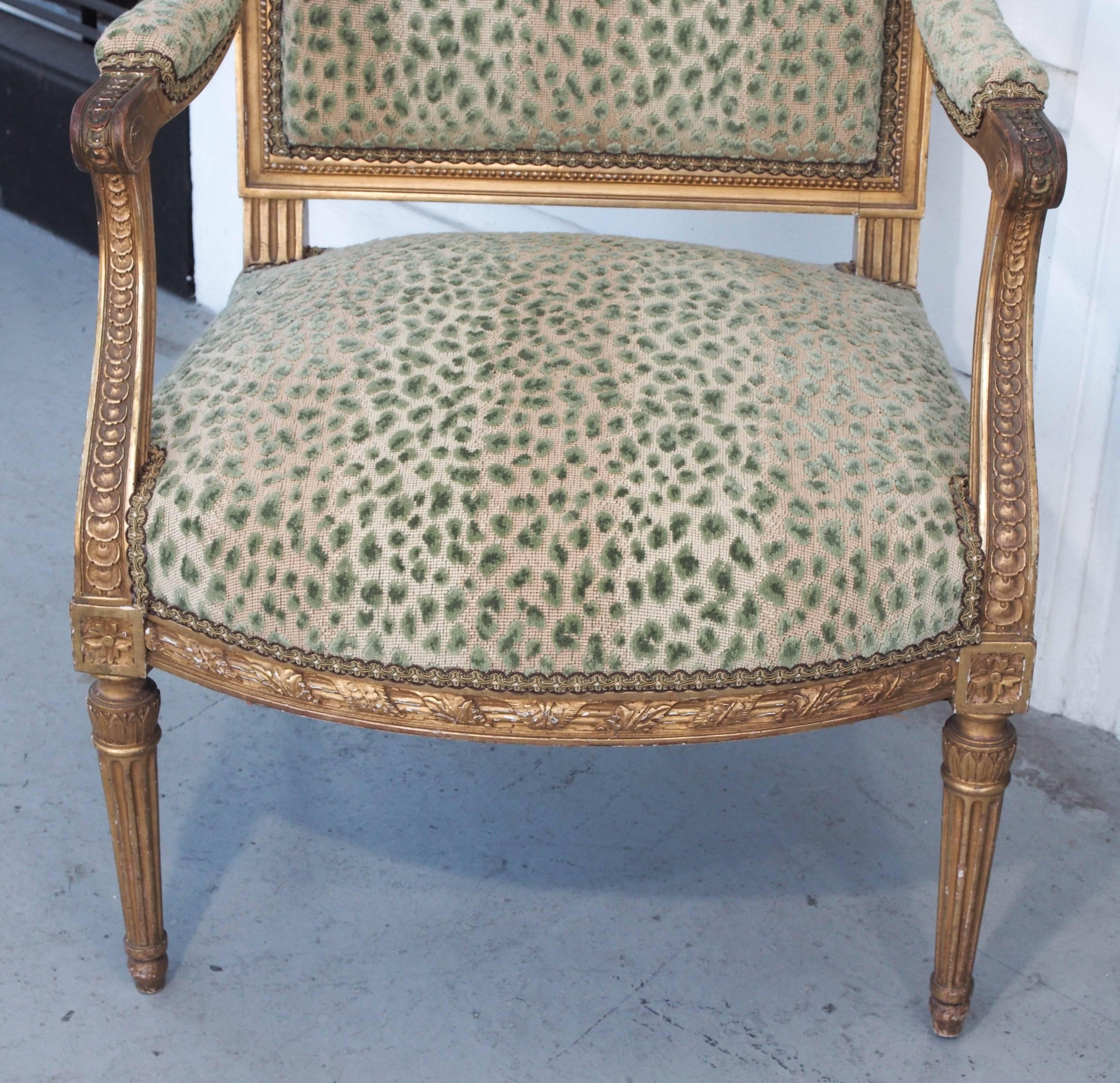 French Pair of 19th Century Louis XVI Style Gilt Armchairs