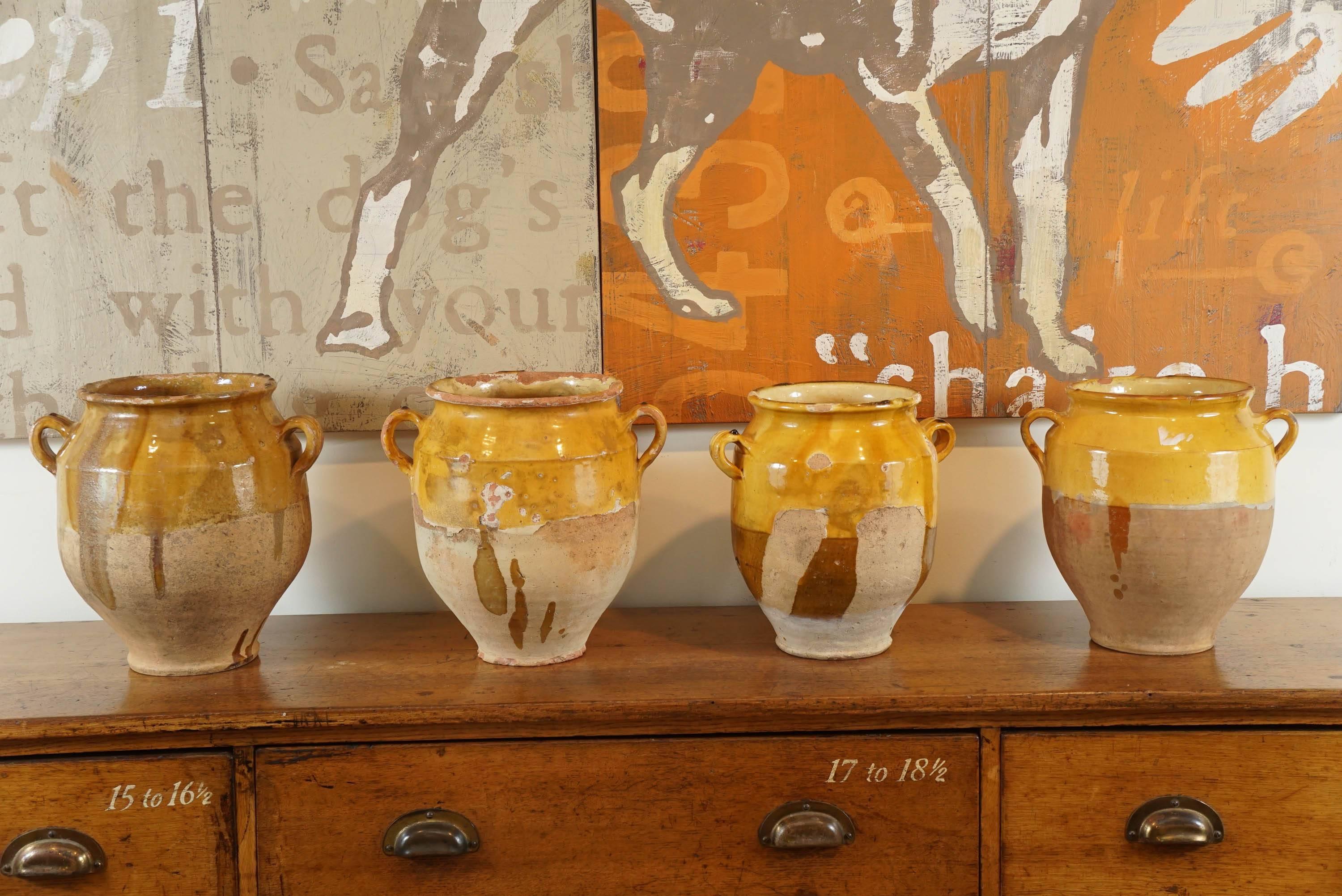 This is part of a larger collection of French confit jars. All or in a mustard glass and we prefer confit jars that have drippings as opposed to a uniform glass. These look wonderful with a glass vase inside and fresh flowers or dried flowers. We
