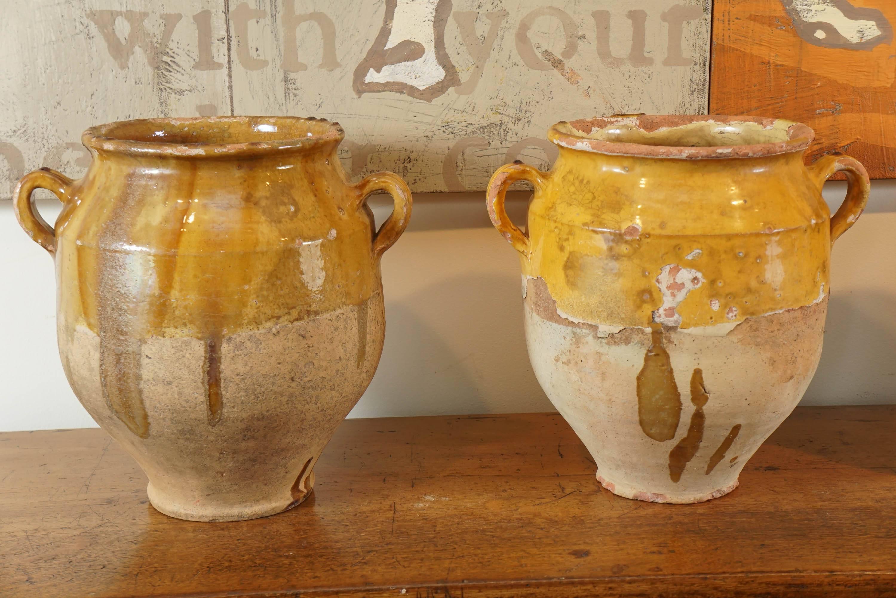 French Collection of Confit Jars