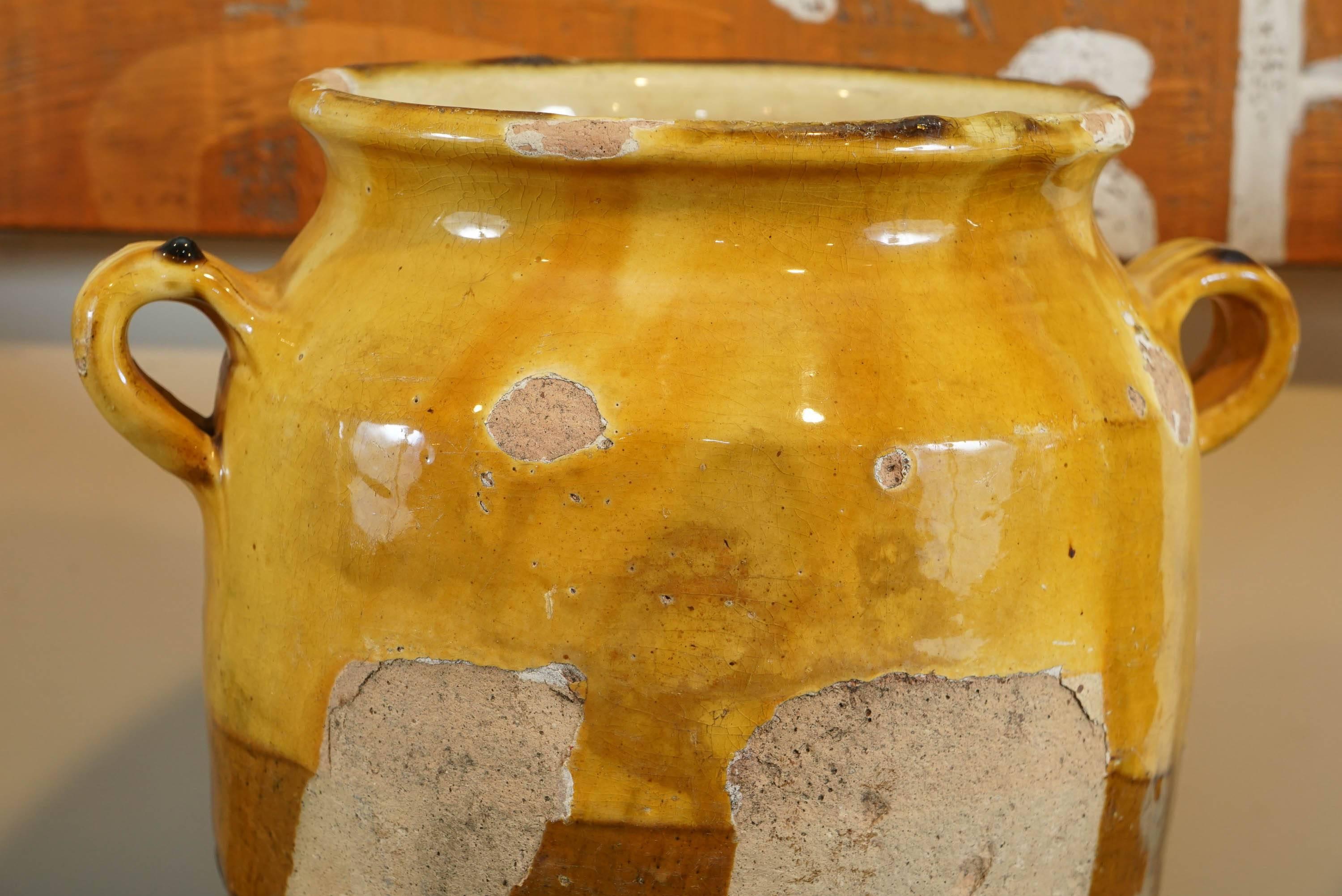 Collection of Confit Jars 1