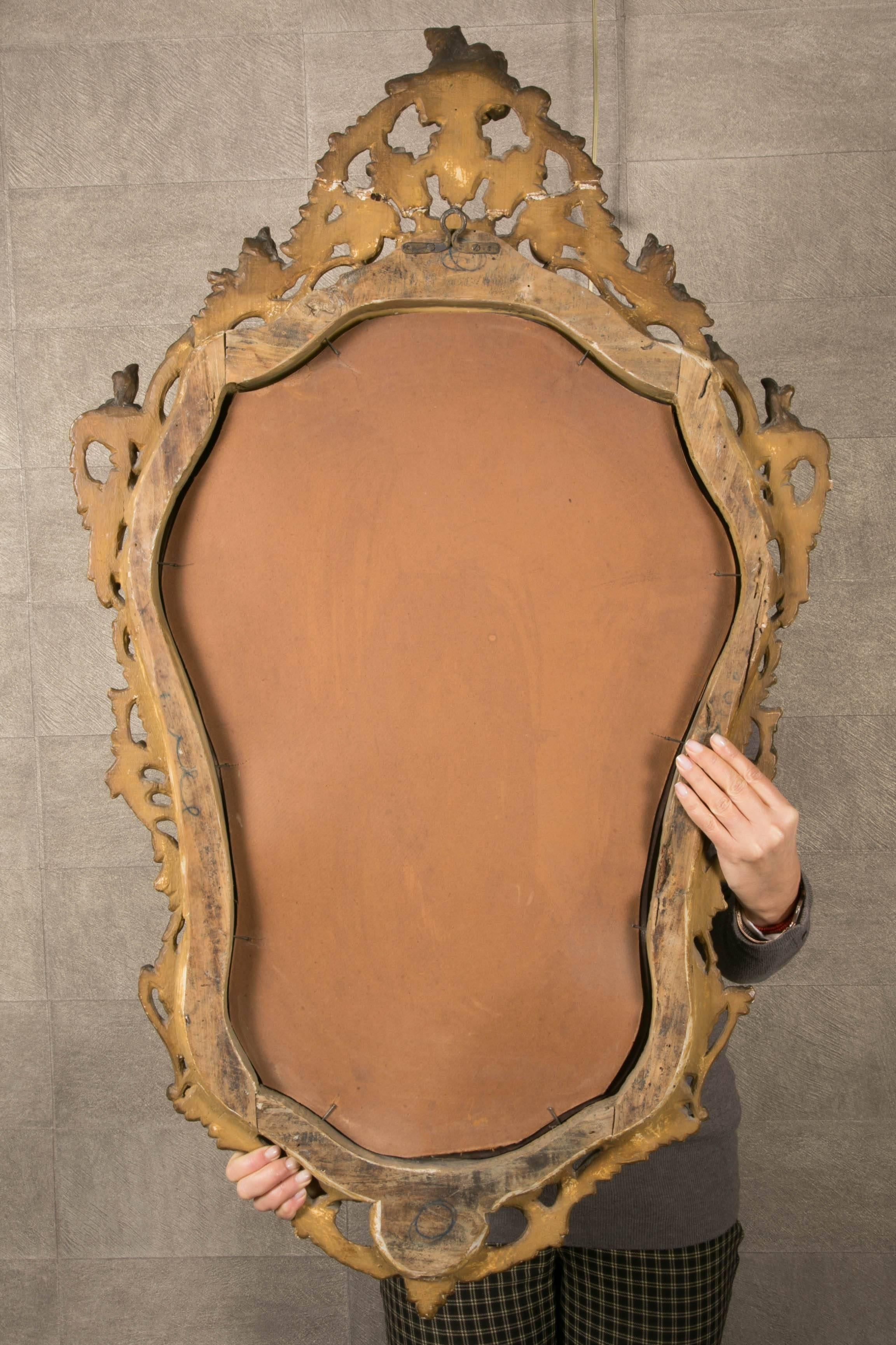 Pair of 19th Century Venetians Mirrors For Sale 2