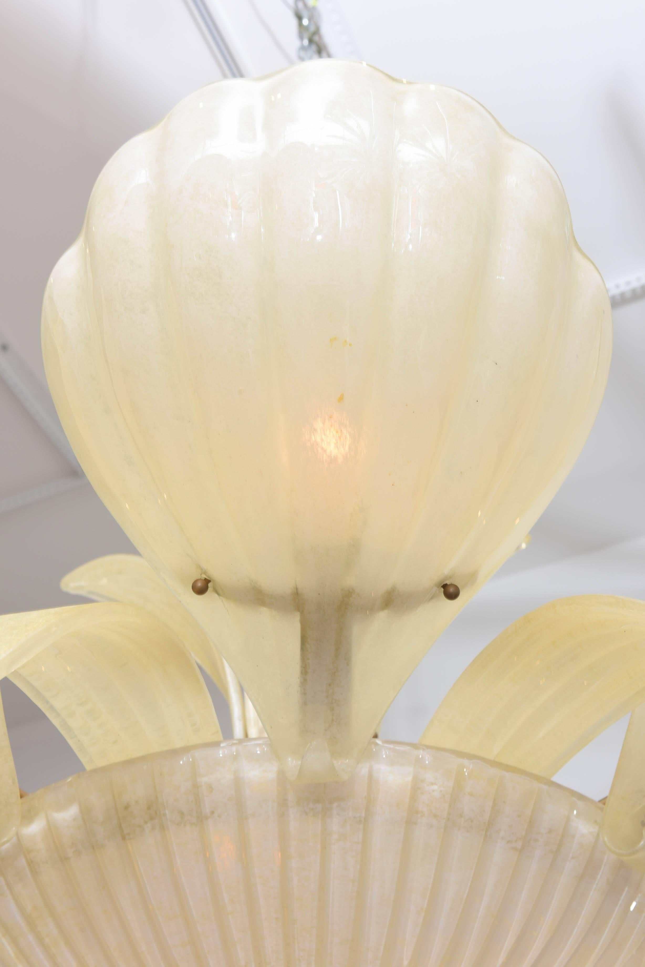 Light transparent eggshell white glass chandelier by Seguso with shell motif. The fixture has been professionally rewired to US standards.