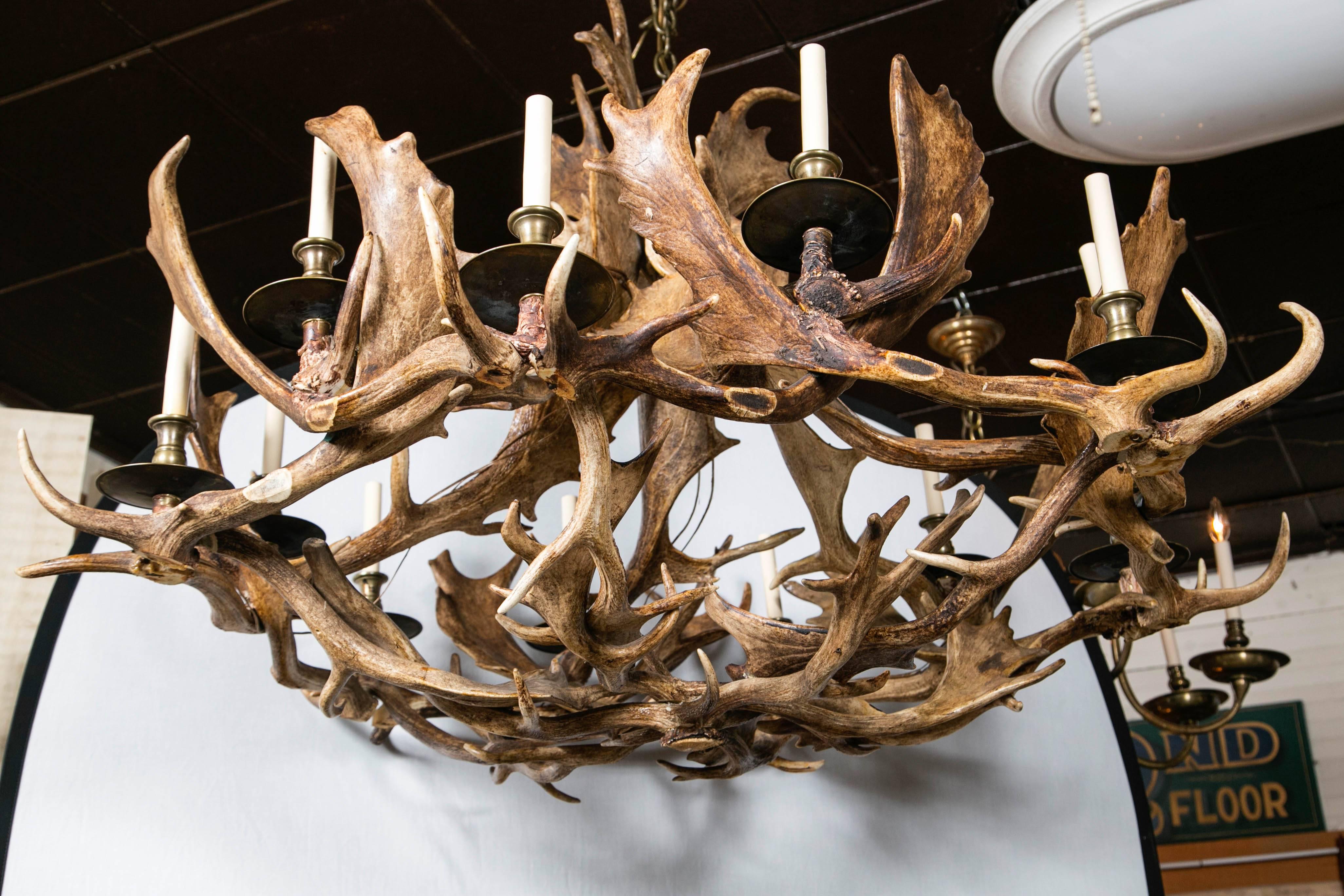 Fantastic Twelve-Light Caribou Antler Chandelier In Excellent Condition In Woodbury, CT