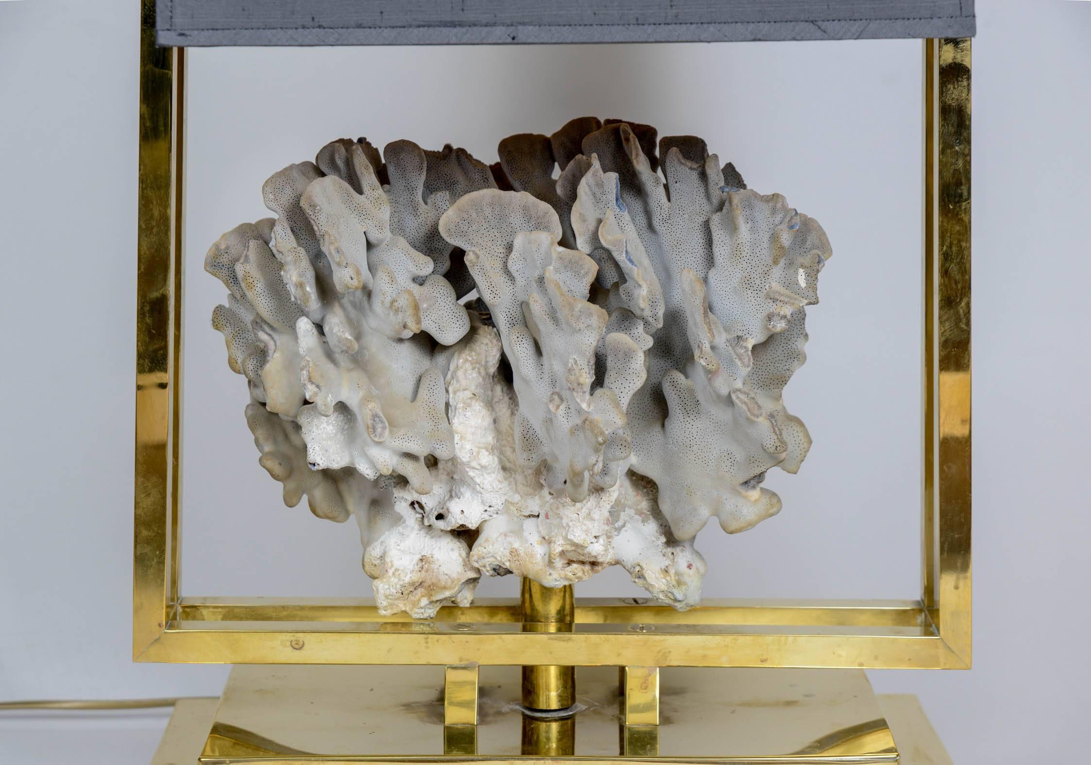 Luxuriöse quadratische Tischlampe aus Messing mit einem großen grauen Korallen-Mittelstück, eingefasst von einem Messingrahmen und abgerundet durch einen grauen Seidenschirm.