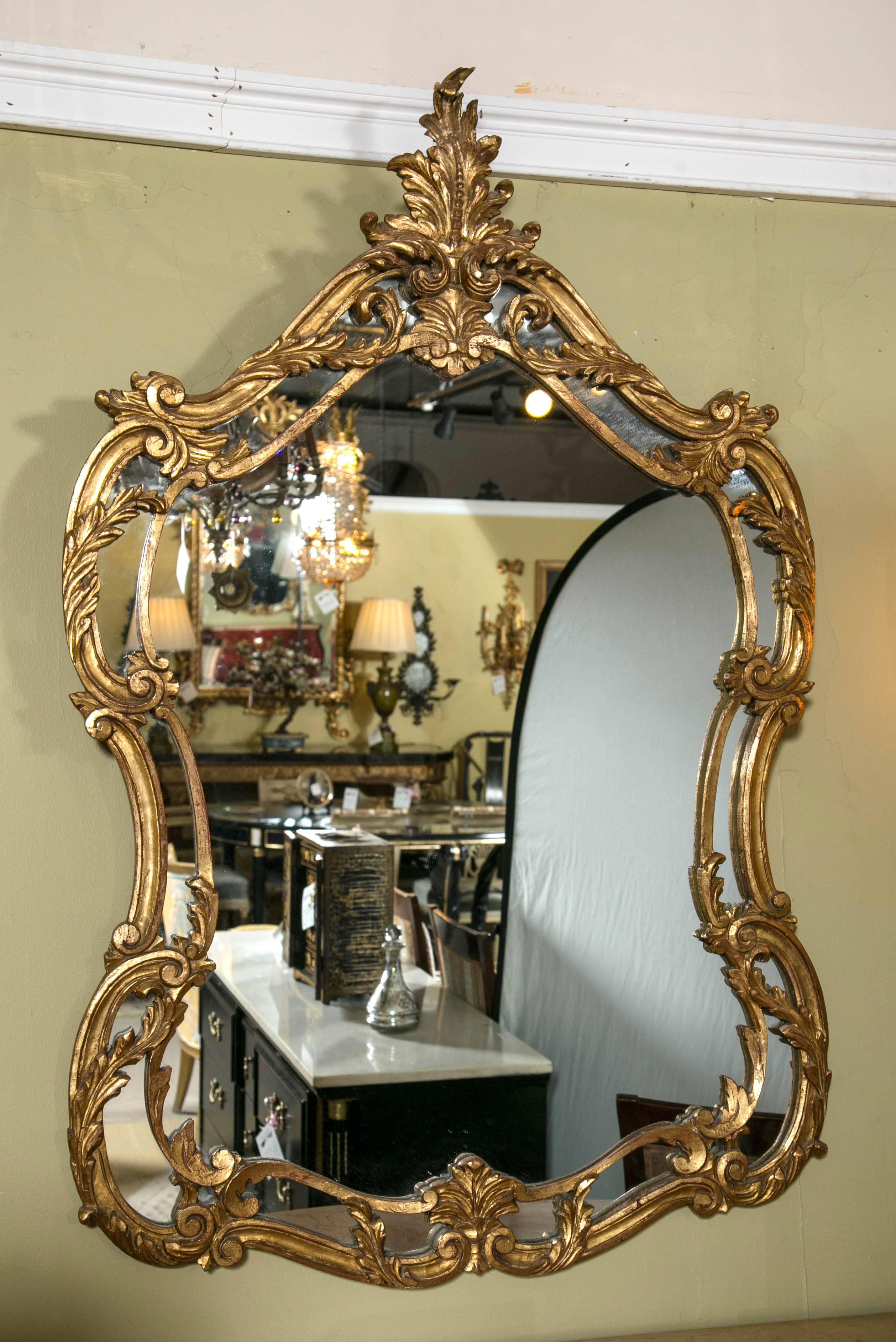 A pair of Italian leaf and scroll giltwood mirrors. This pair of Louis XV style mirrors are finely carved and detailed having a leaf and scroll design giltwood double frame. With wooden backings. 

Measures: 52.5