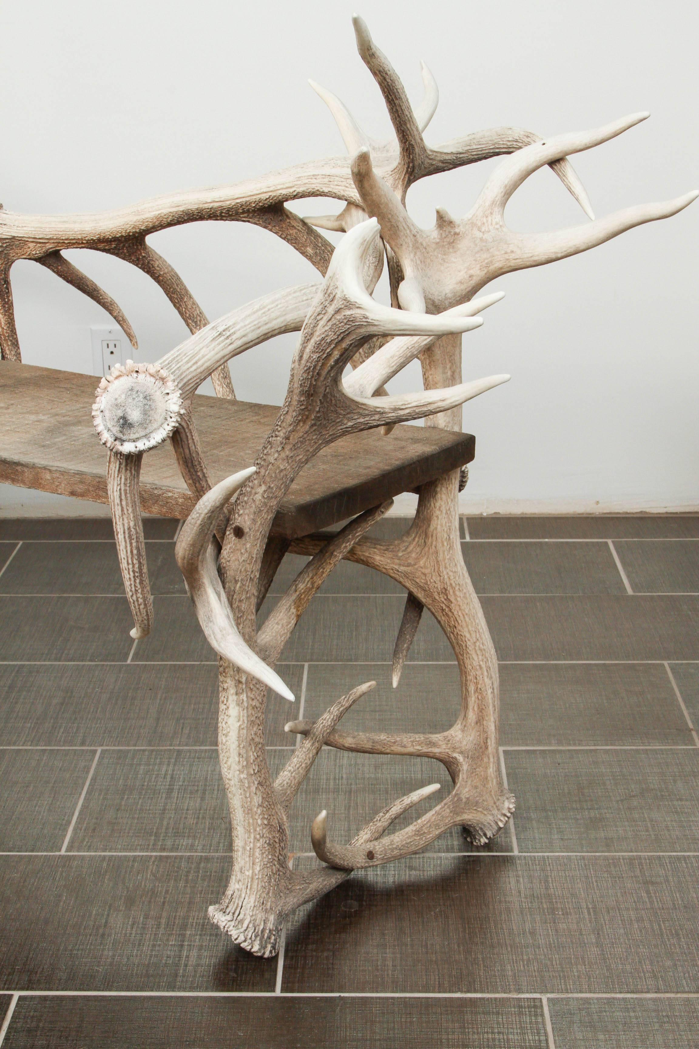 Magnificent Elk Antler Bench In Good Condition In New York, NY