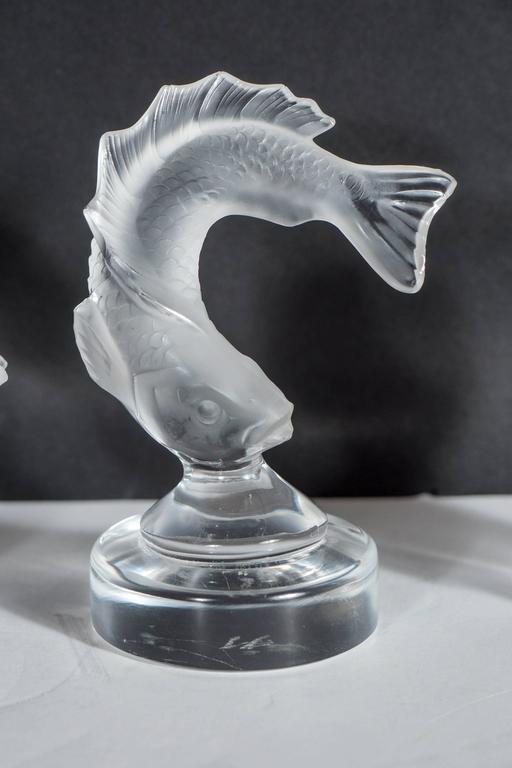 Collection of Lalique Animal Figurines in Frosted Crystal at 1stdibs