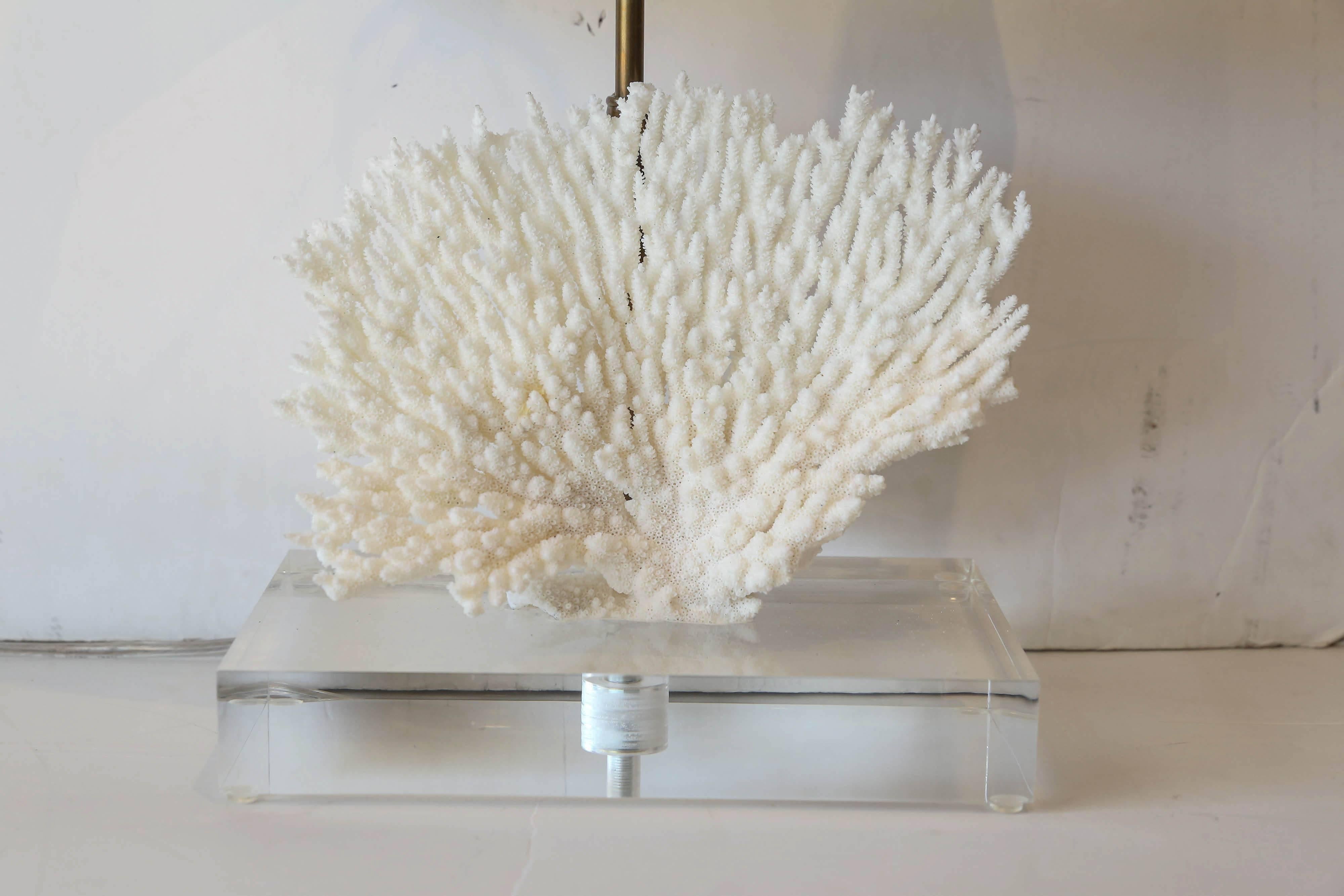 Coral lamp on Lucite base, newly wired for use within the USA. Sold with a complementary linen shade (measurements include shade).