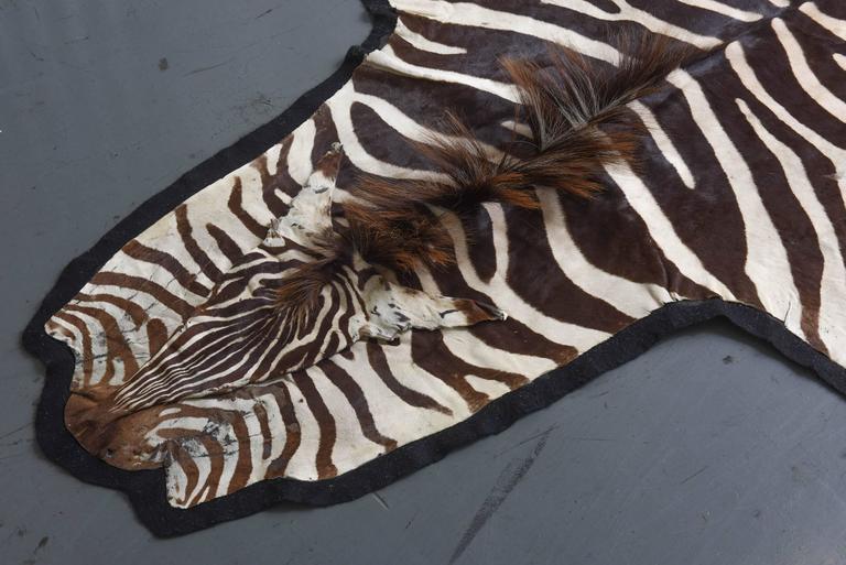 Vintage Brown Zebra Rug at 1stdibs