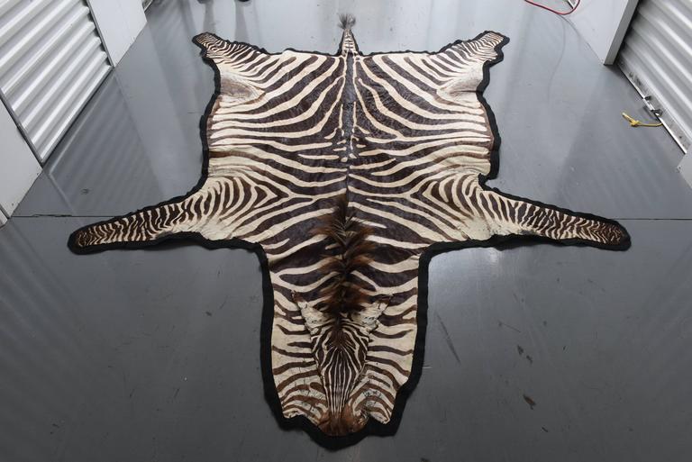 Vintage Brown Zebra Rug at 1stdibs