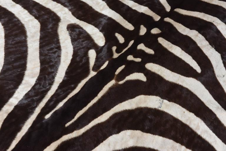 Vintage Brown Zebra Rug at 1stdibs