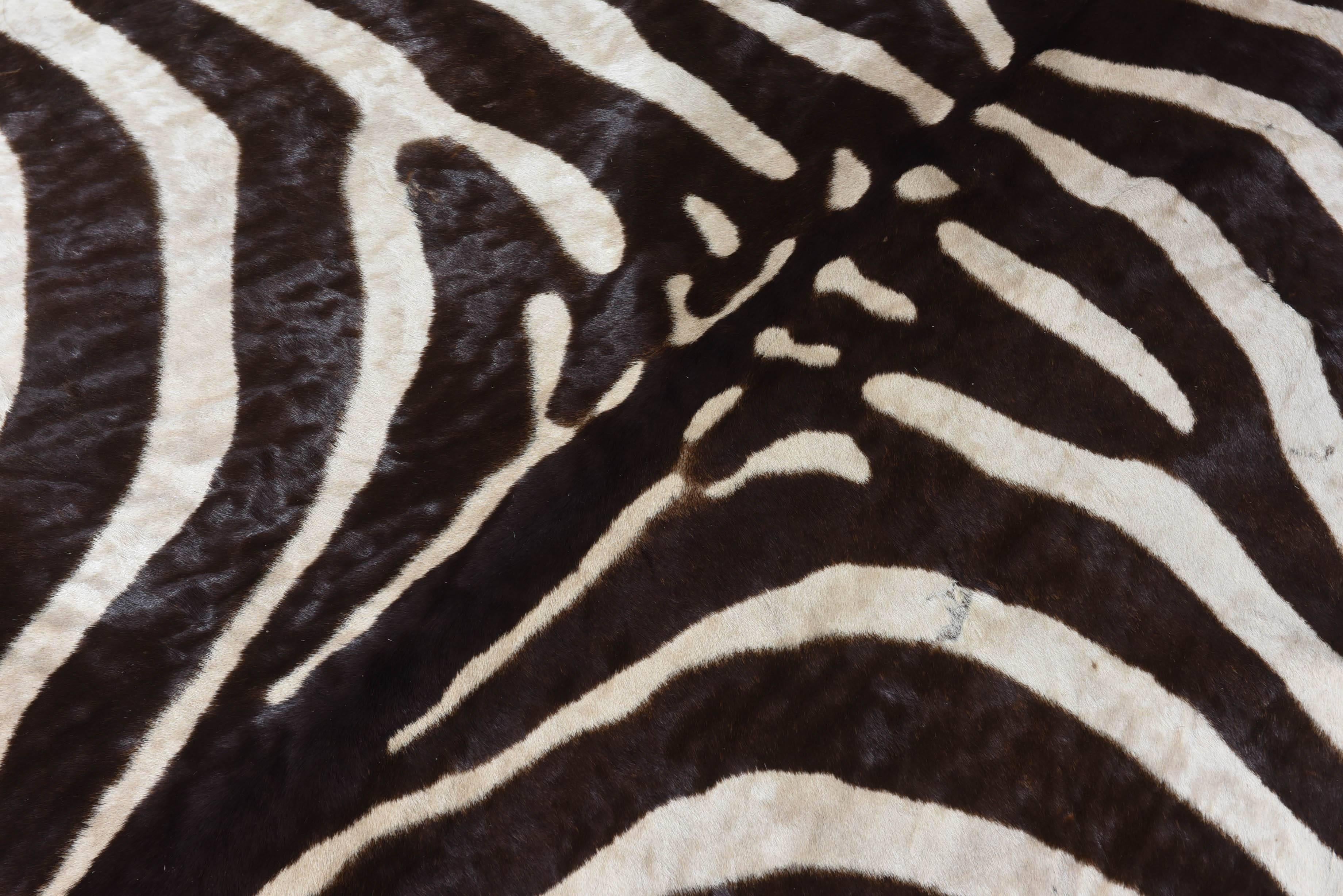 Vintage Brown Zebra Rug 3