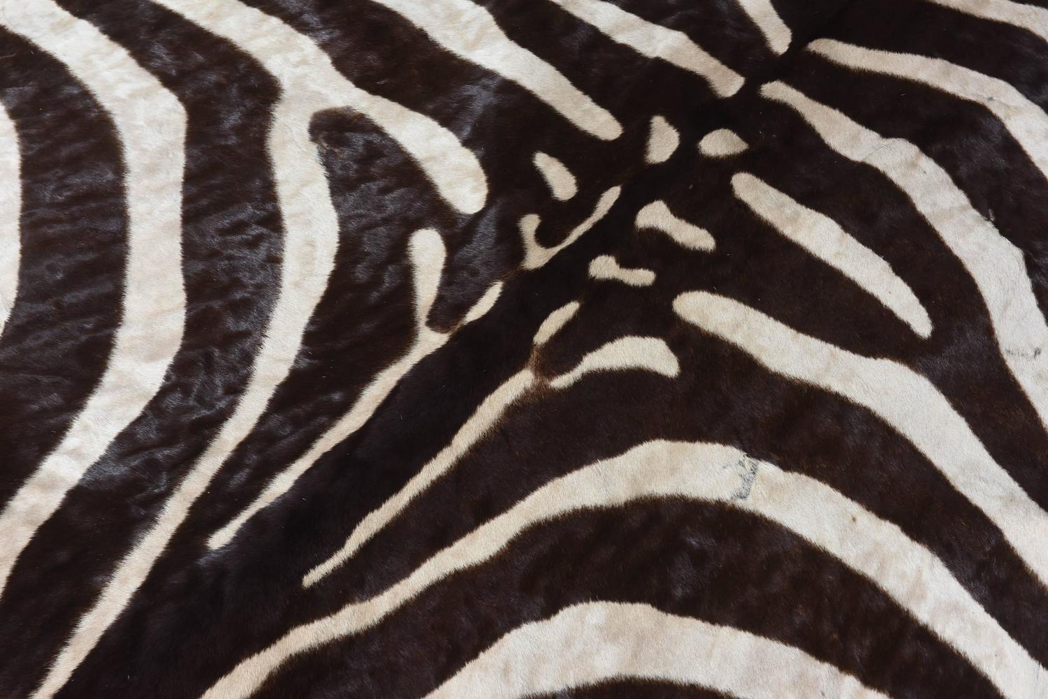 Vintage Brown Zebra Rug at 1stdibs