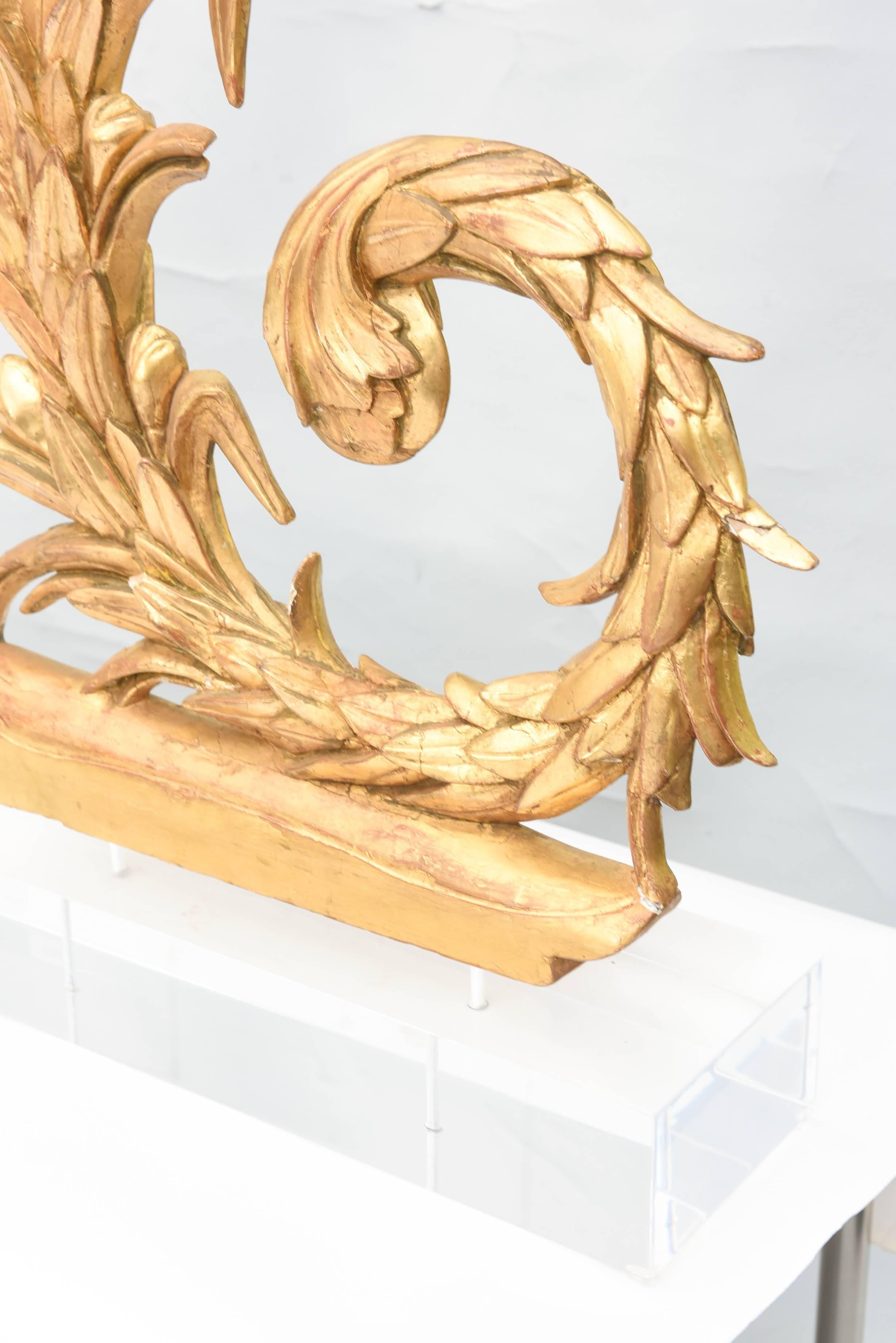 Lucite Coppia di sculture in legno dorato italiano del XIX secolo su basi in lucite in vendita