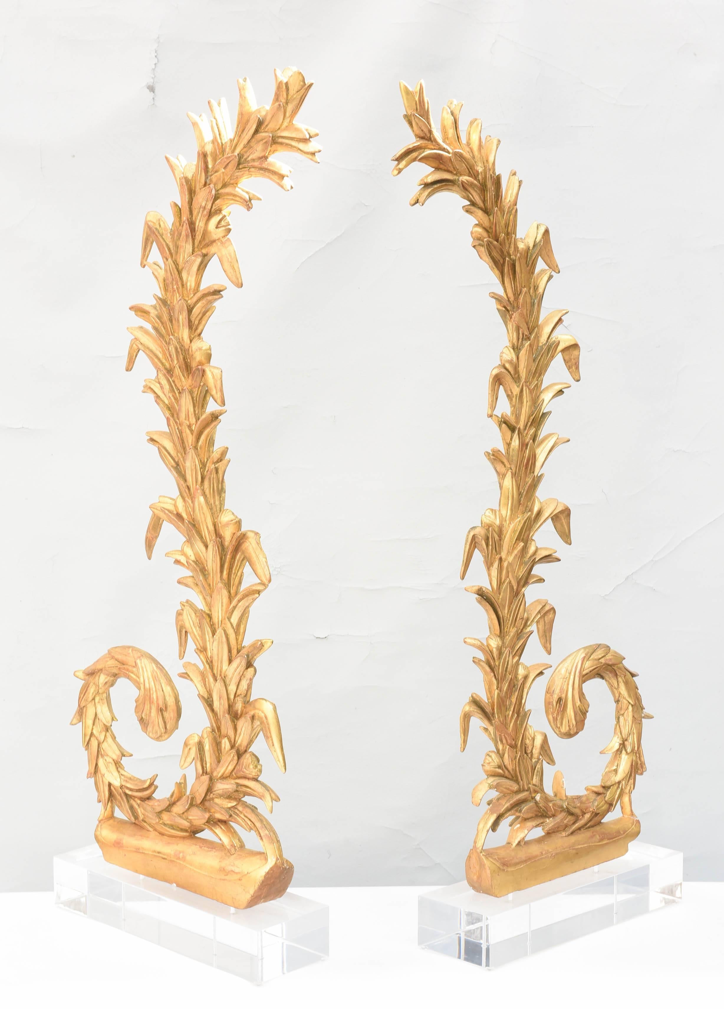 Coppia di sculture in legno dorato italiano del XIX secolo su basi in lucite in vendita 2