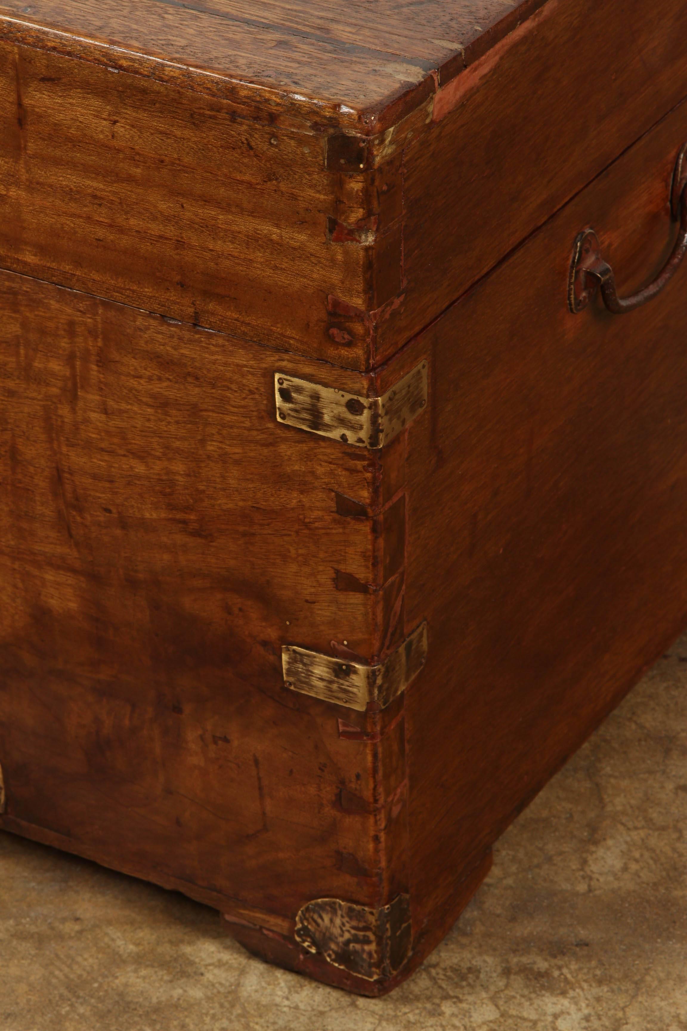 19th Century Chinese Camphor Wood Trunk