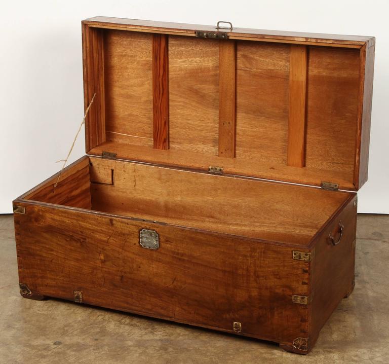 Asian Trunk 96