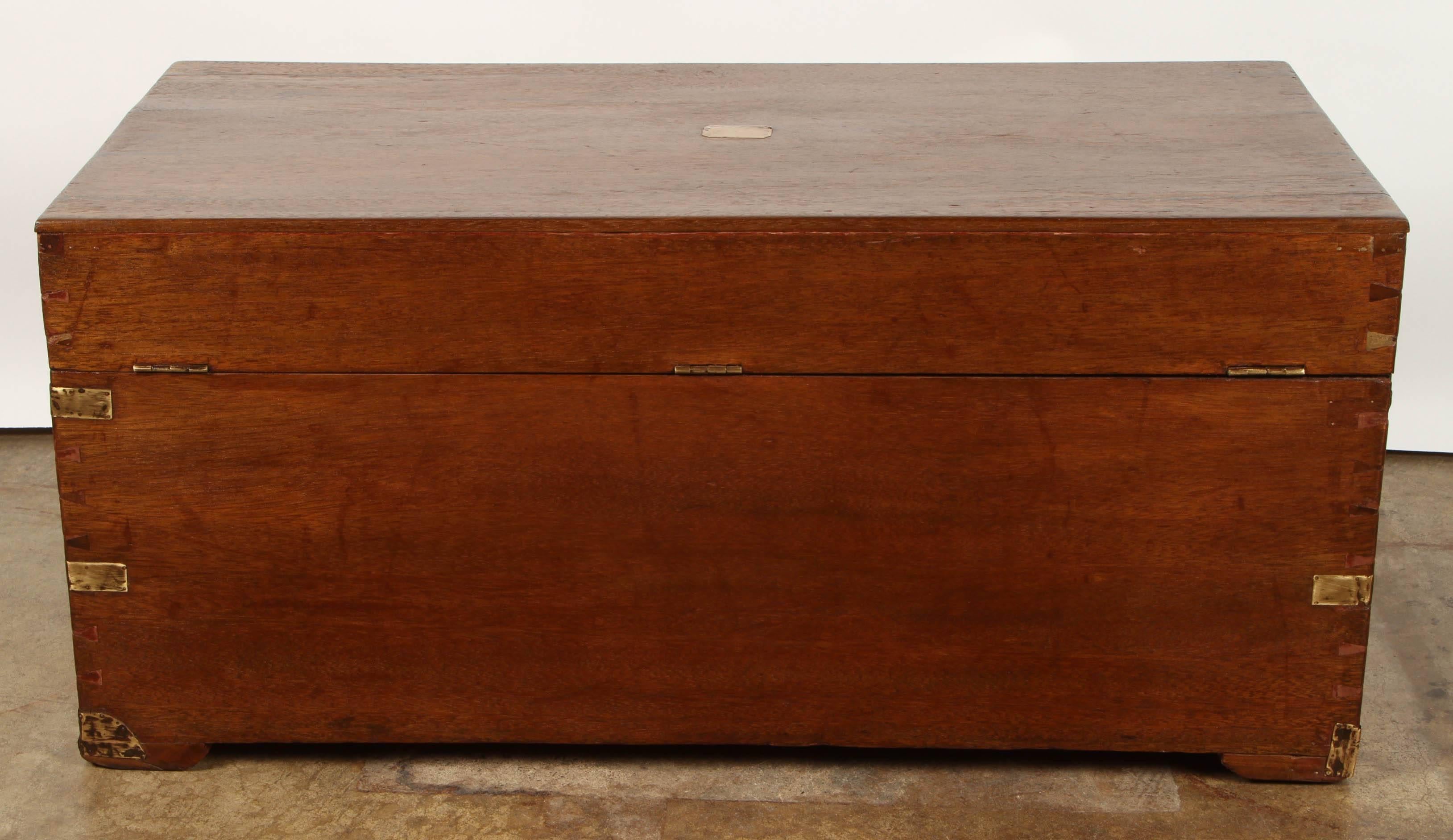 Chinese Camphor Wood Trunk 3