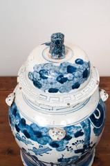 Pair of Chinese Blue and White Porcelain Ginger Jars