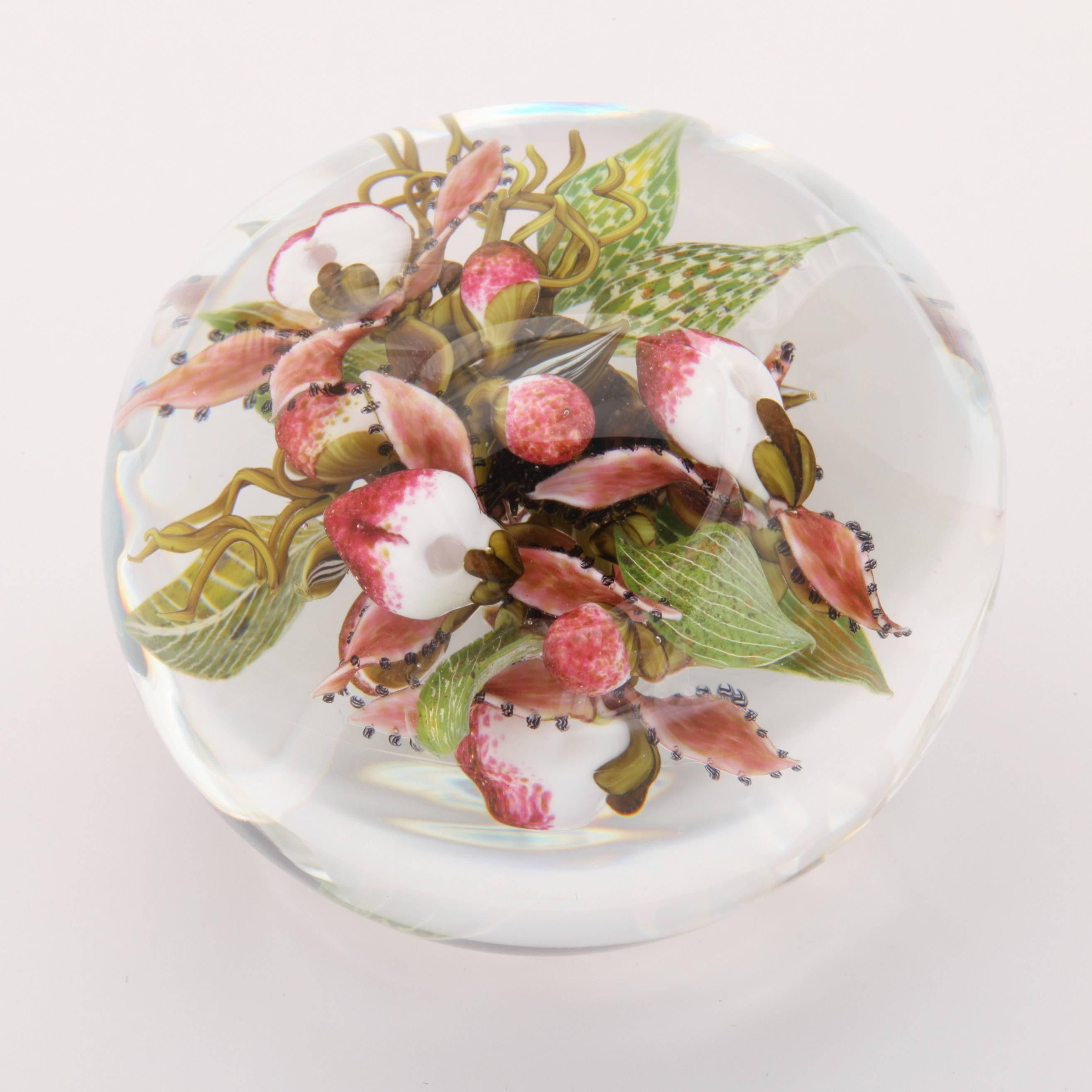 American Beautiful David Graeber Compound Lady Slipper Paperweight For Sale